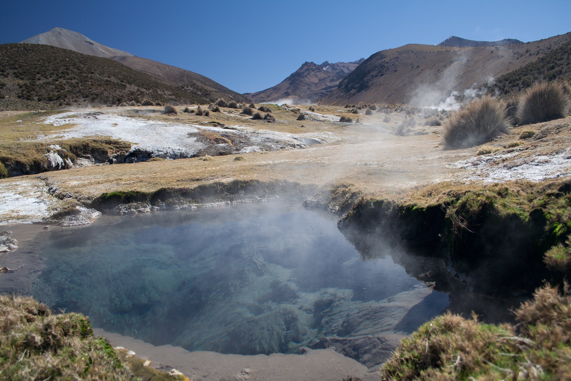 Source chaude volcanique, secteur de Sajama, Bolivie