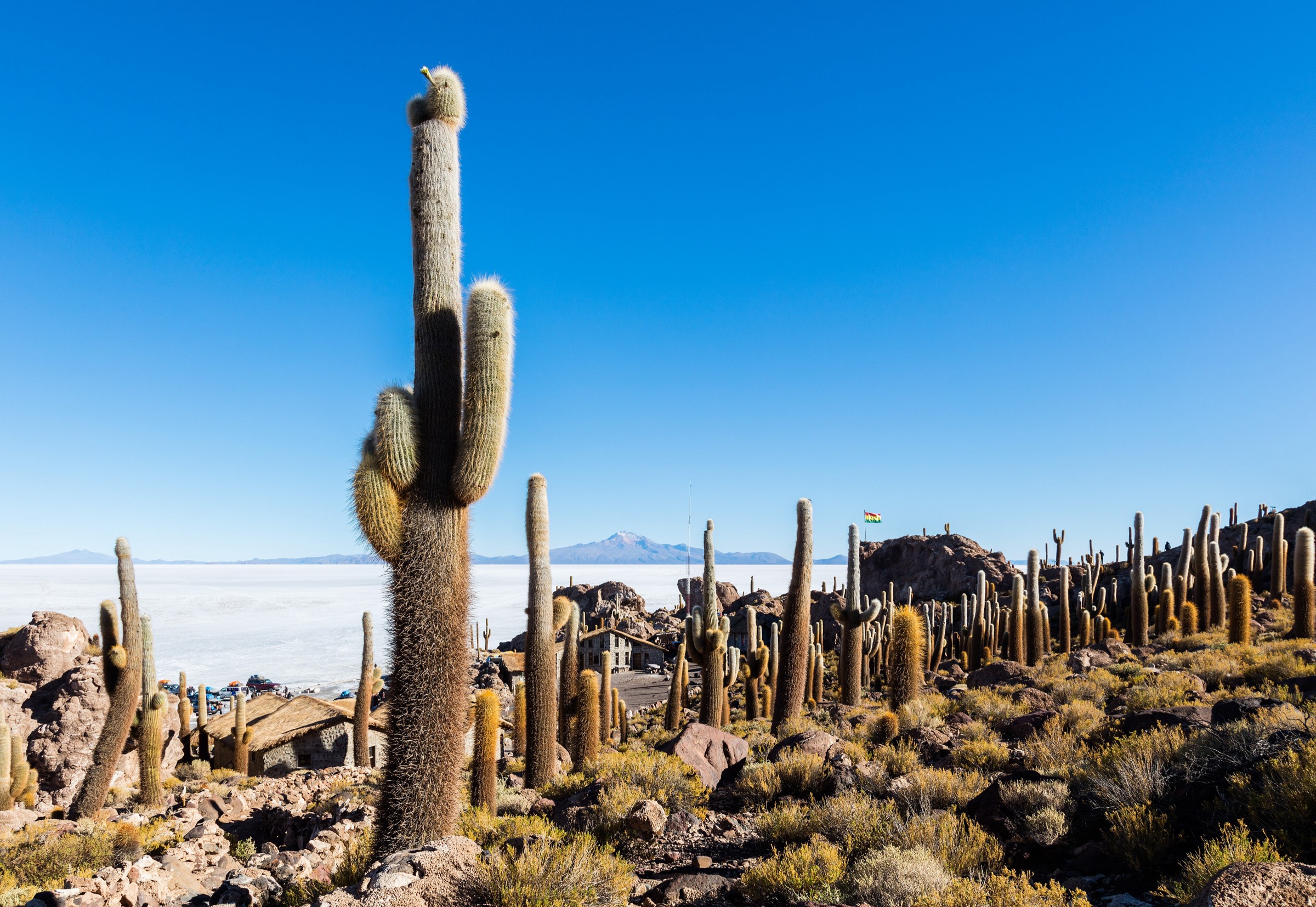 Bolivia — Uyuni / Lípez / South-western Volcanic Andes: Essential Day-Hikes