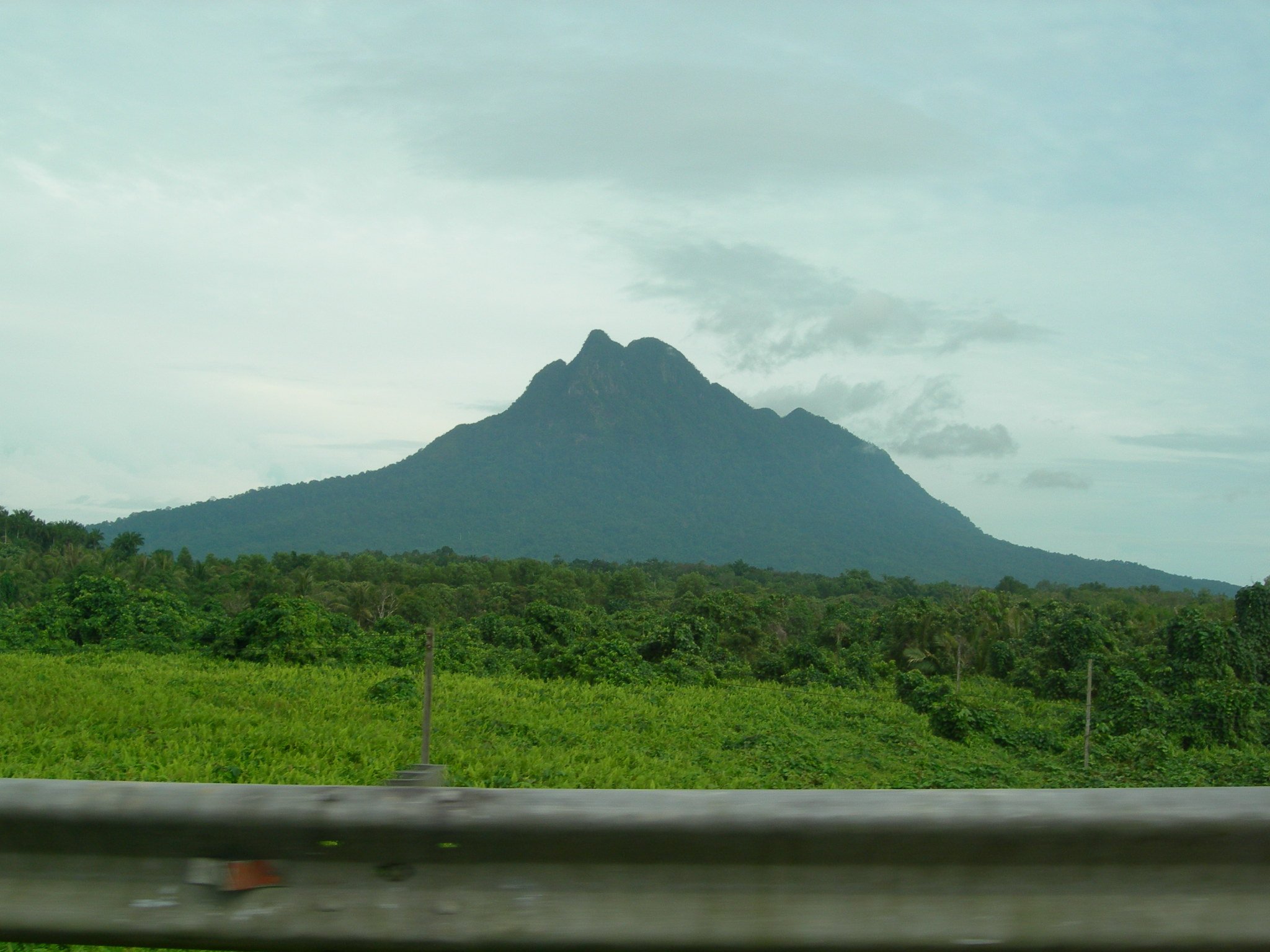 Malaisie, Indonésie et Brunei — Montagnes de Bornéo : Randonnées Essentielles à la Journée