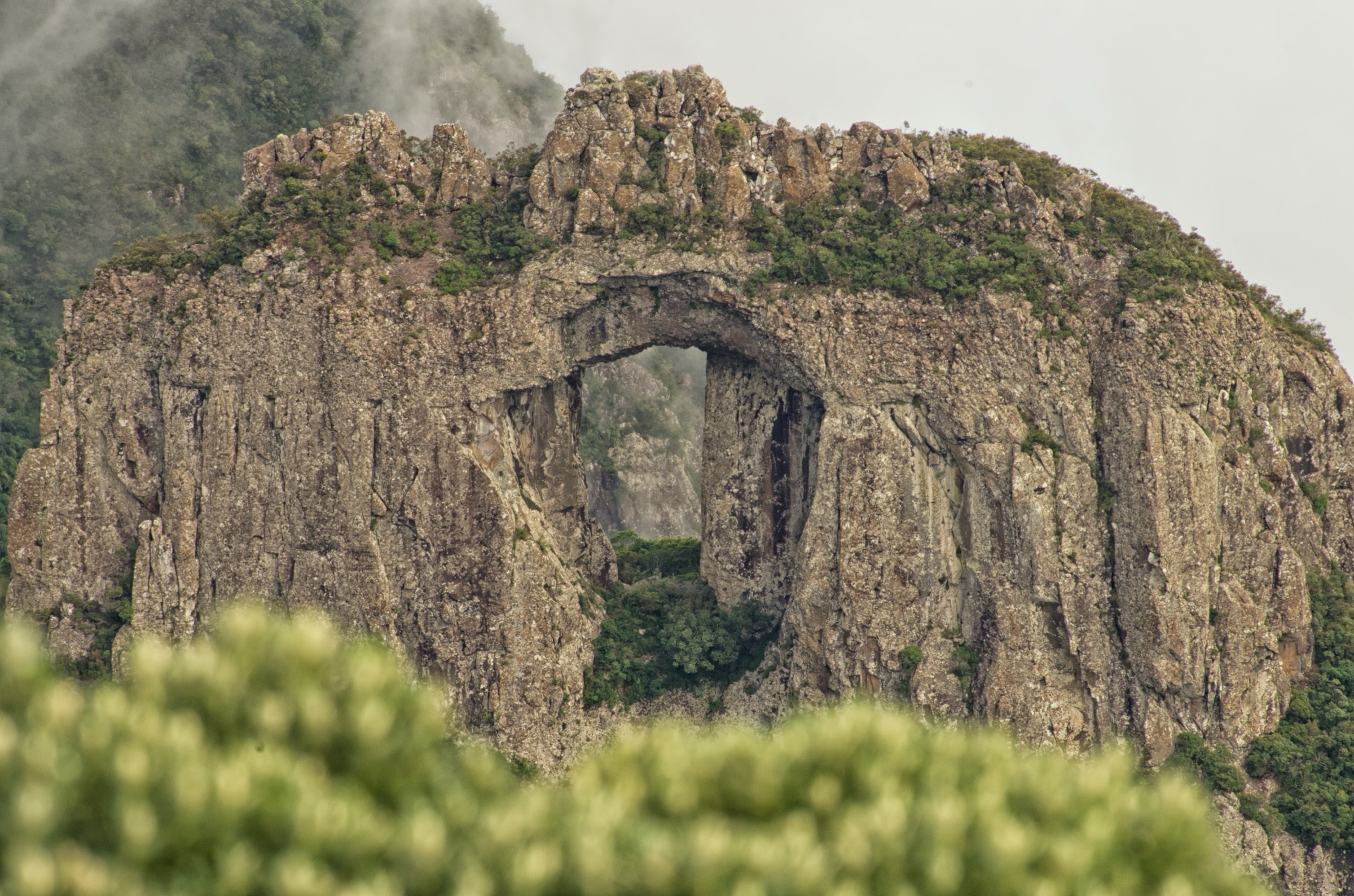 Brésil — Hautes terres brésiliennes : Serra Catarinense