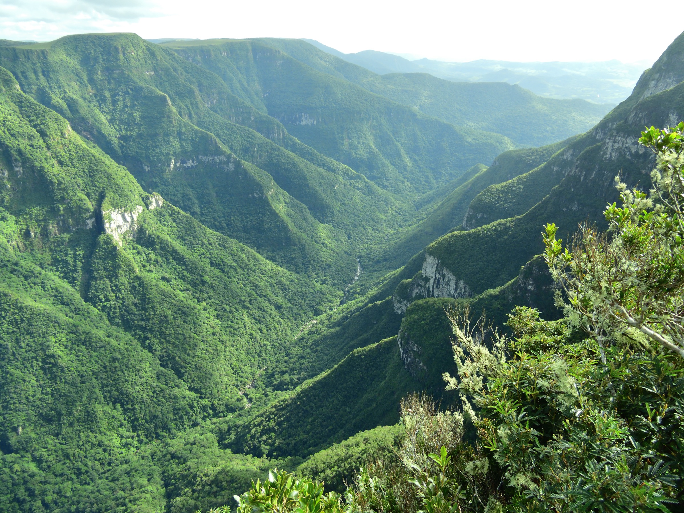 Brazil — Brazilian Highlands: Rio Grande do Sul canyon country