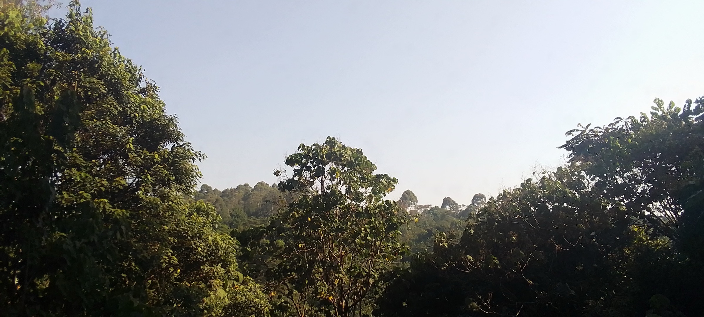 Burundi / Rwanda — Central Highlands