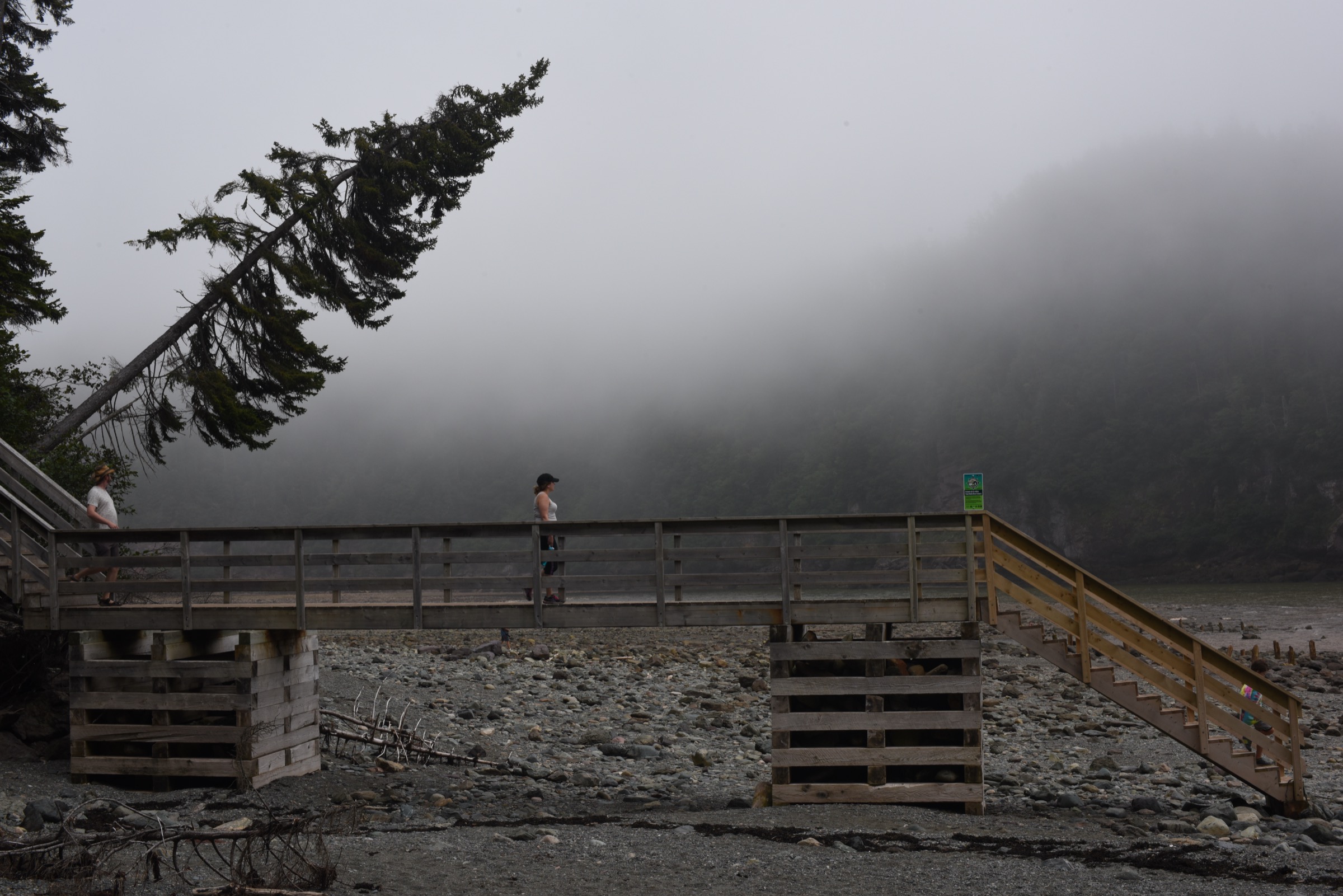 Canada — Fundy Highlands (N.-B.) : randonnées d'une journée