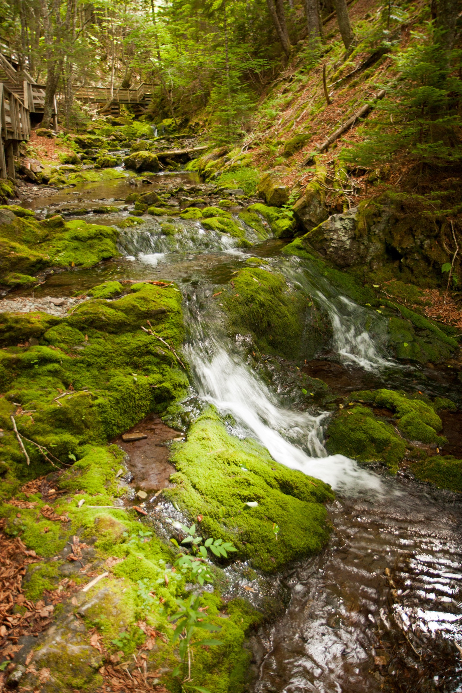 Dickson Falls along the popular loop trail in Fundy National Park