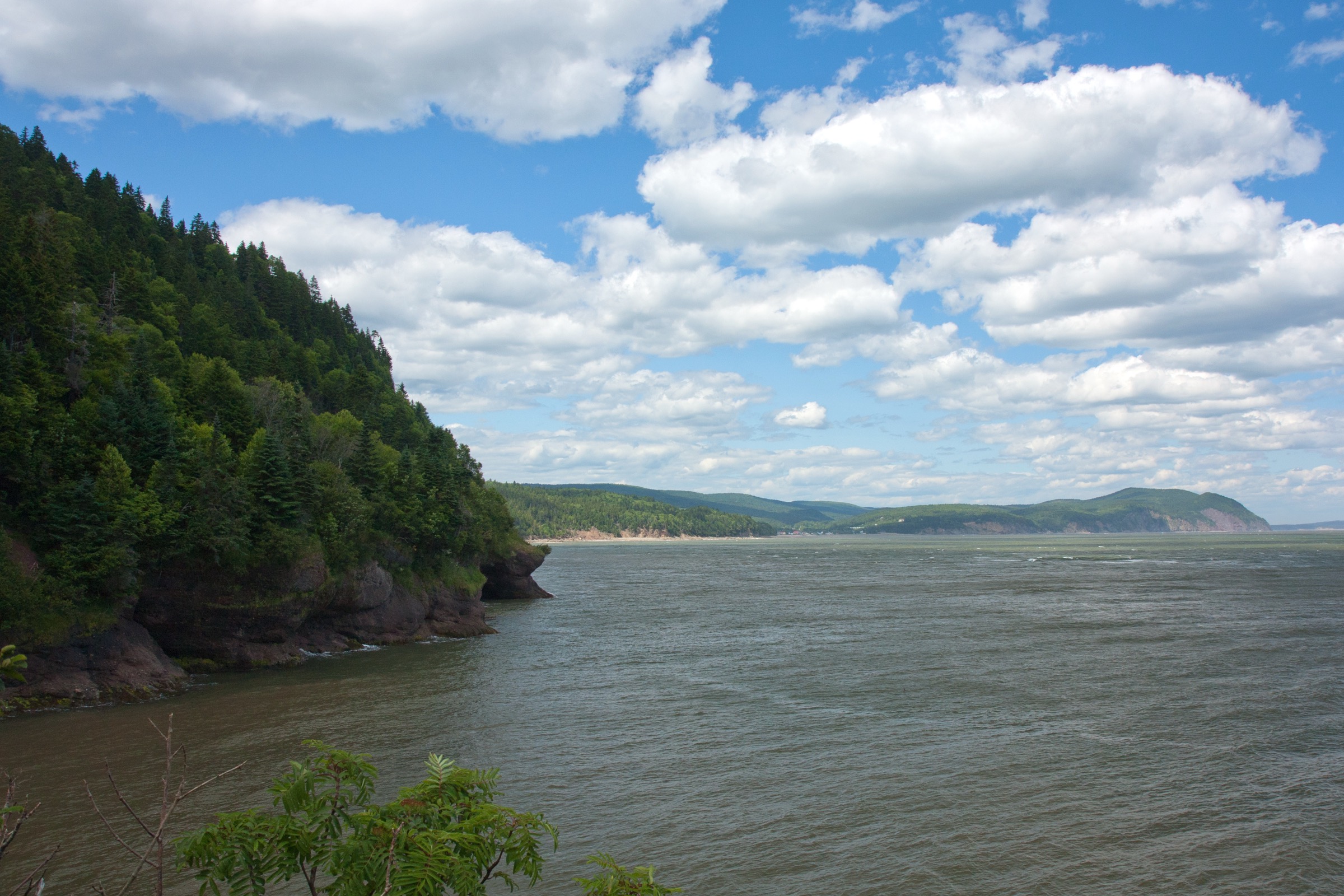 Coastal cliff at Matthew's Head above Herring Cove in Fundy National Park