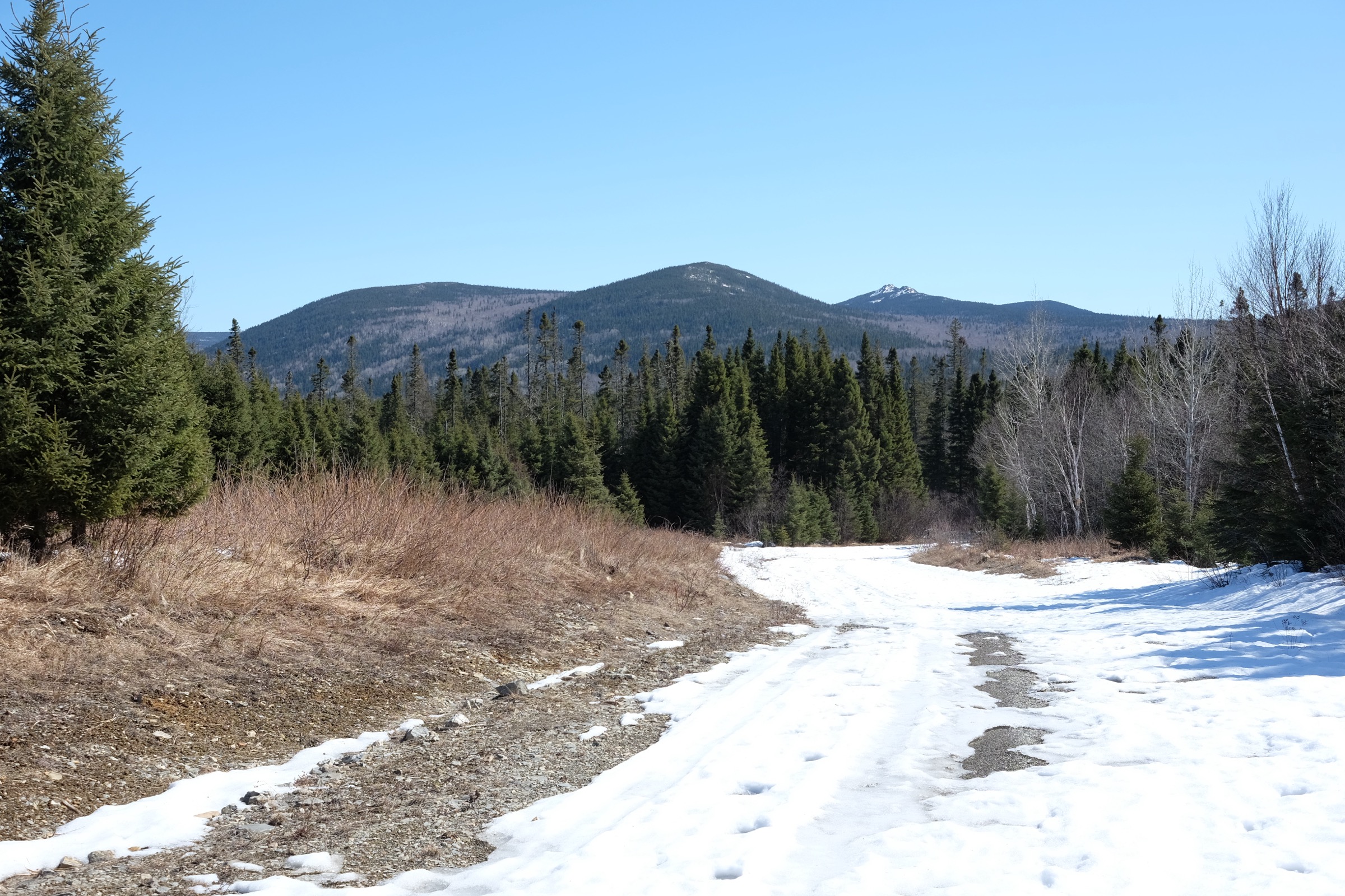 Canada — Mount Carleton (Nouveau-Brunswick) : randonnées d'une journée