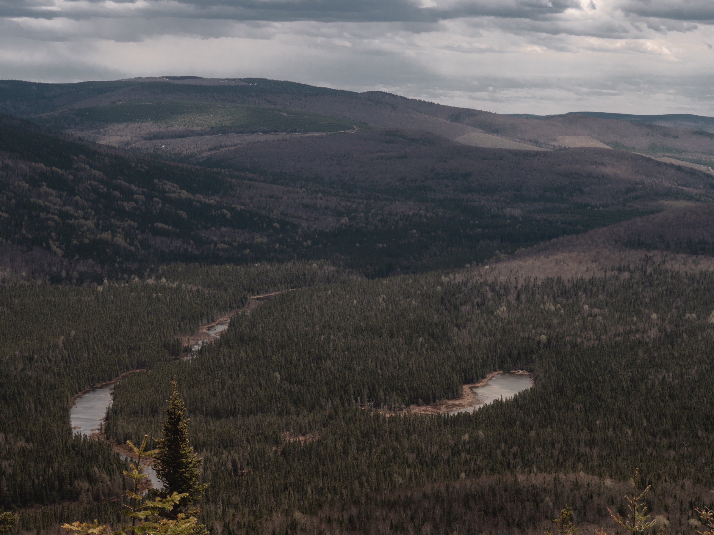 Vue vers le nord sur les New Brunswick Highlands depuis le sommet du mont Bailey