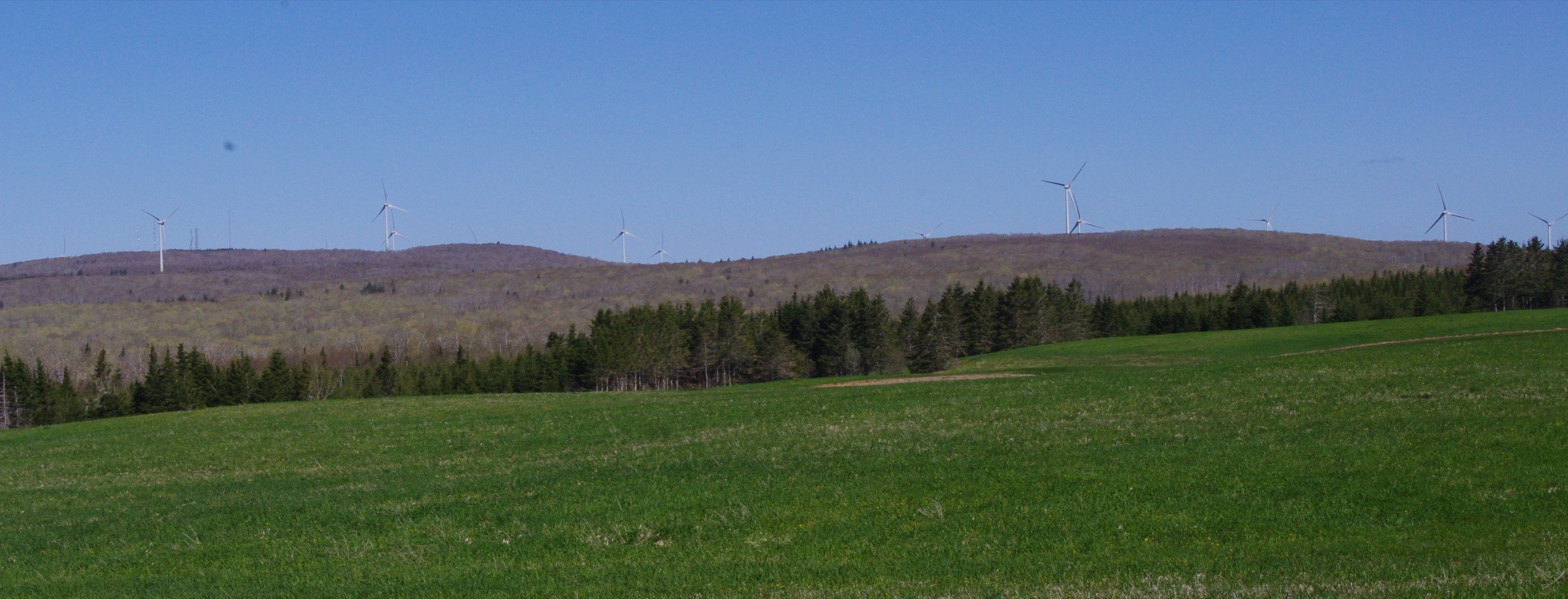 Nuttby Mountain, point culminant longtemps reconnu de la Nouvelle-Écosse continentale, vu depuis la route 311 dans le comté de Colchester