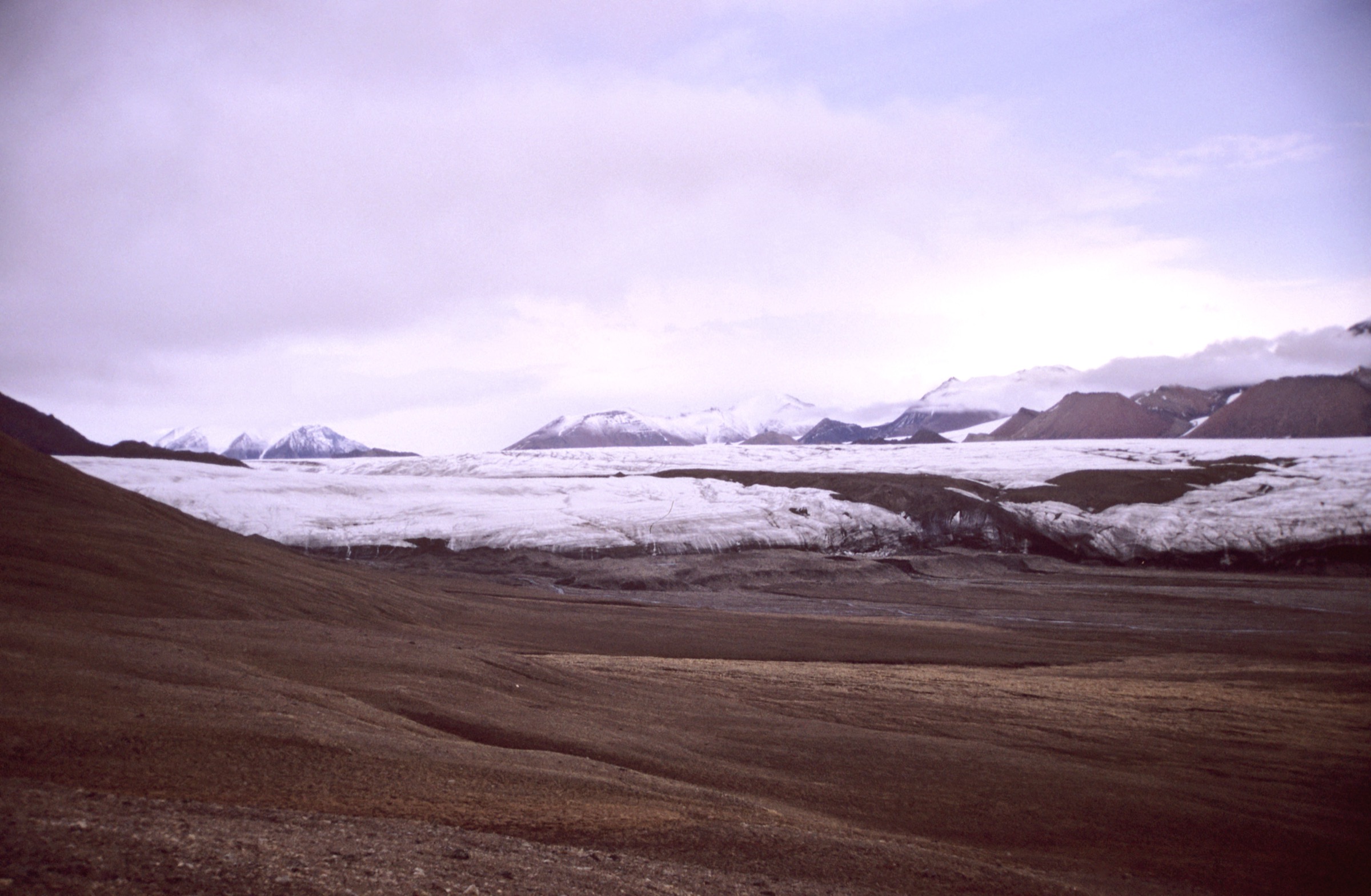 Glaciers White et Thompson descendant vers le fjord Expedition, île Axel Heiberg