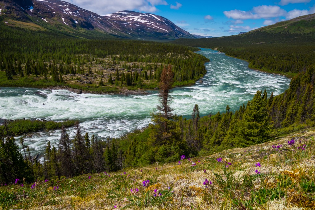 La rivière Koroc en aval des chutes Korluktok