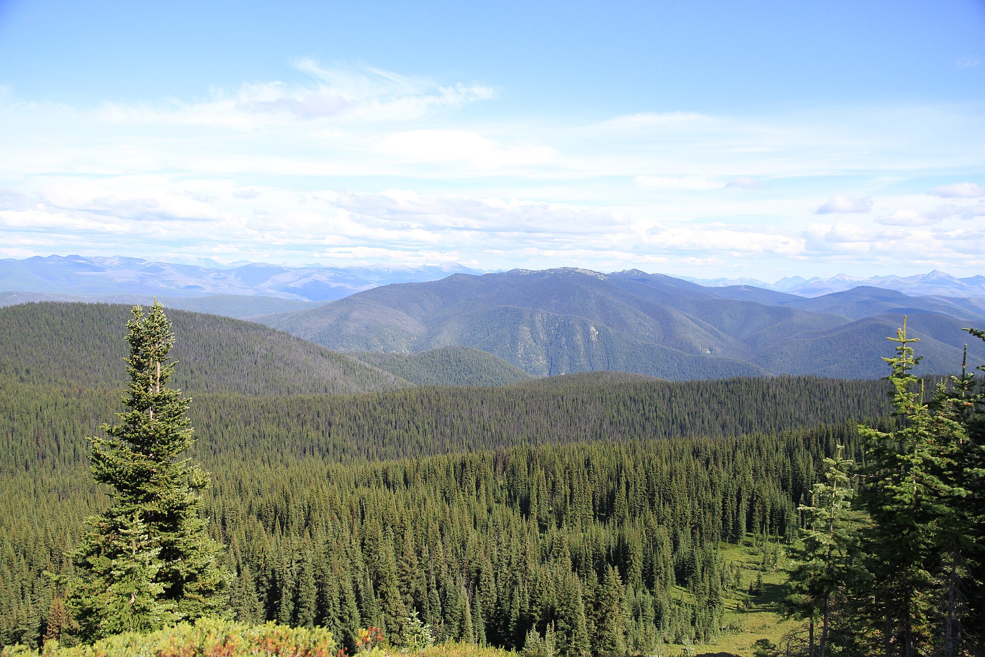 Vue vers le sud depuis le Heather Trail sur les prairies alpines, parc provincial E.C. Manning
