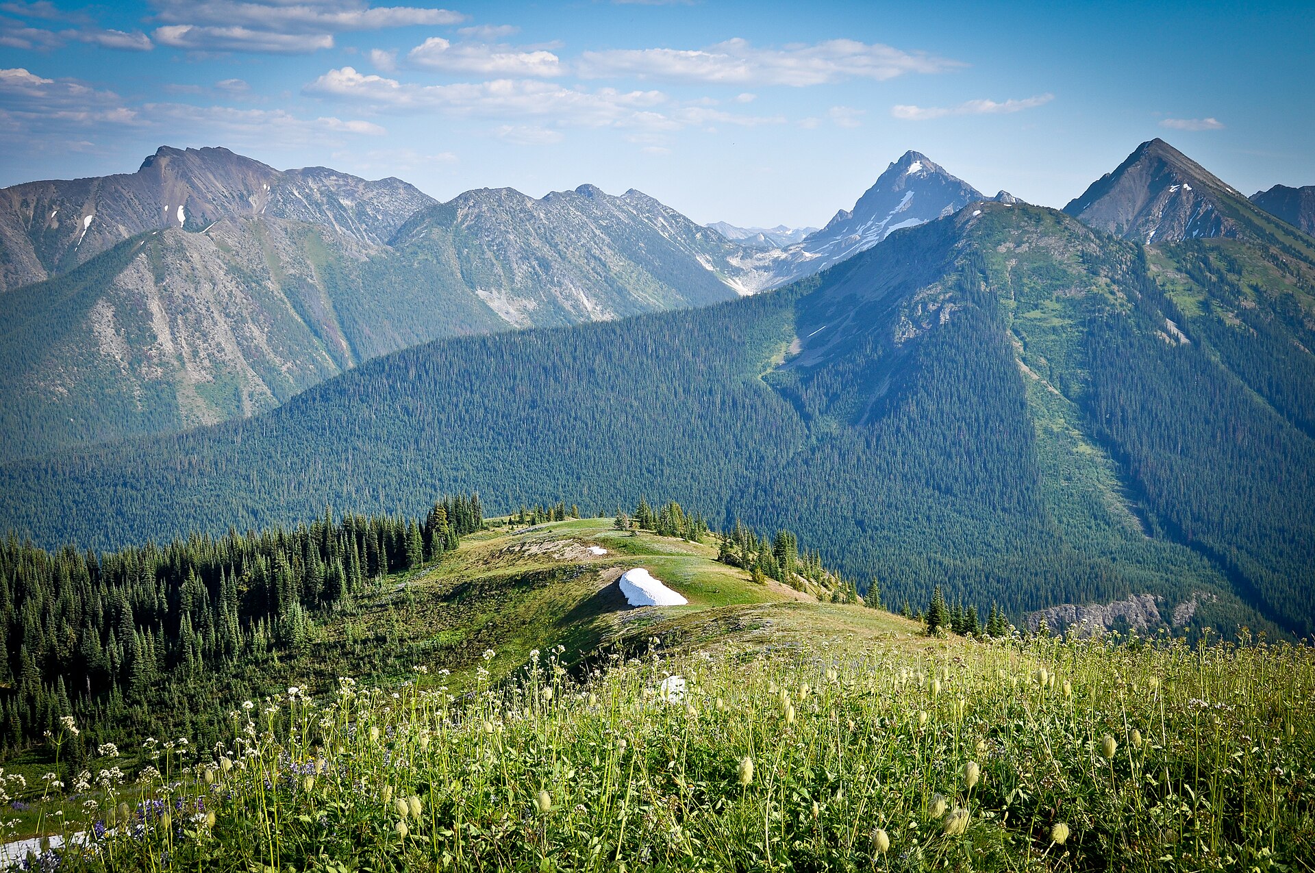 La chaîne du Hozameen vue depuis le mont Snow Camp, parc provincial E.C. Manning