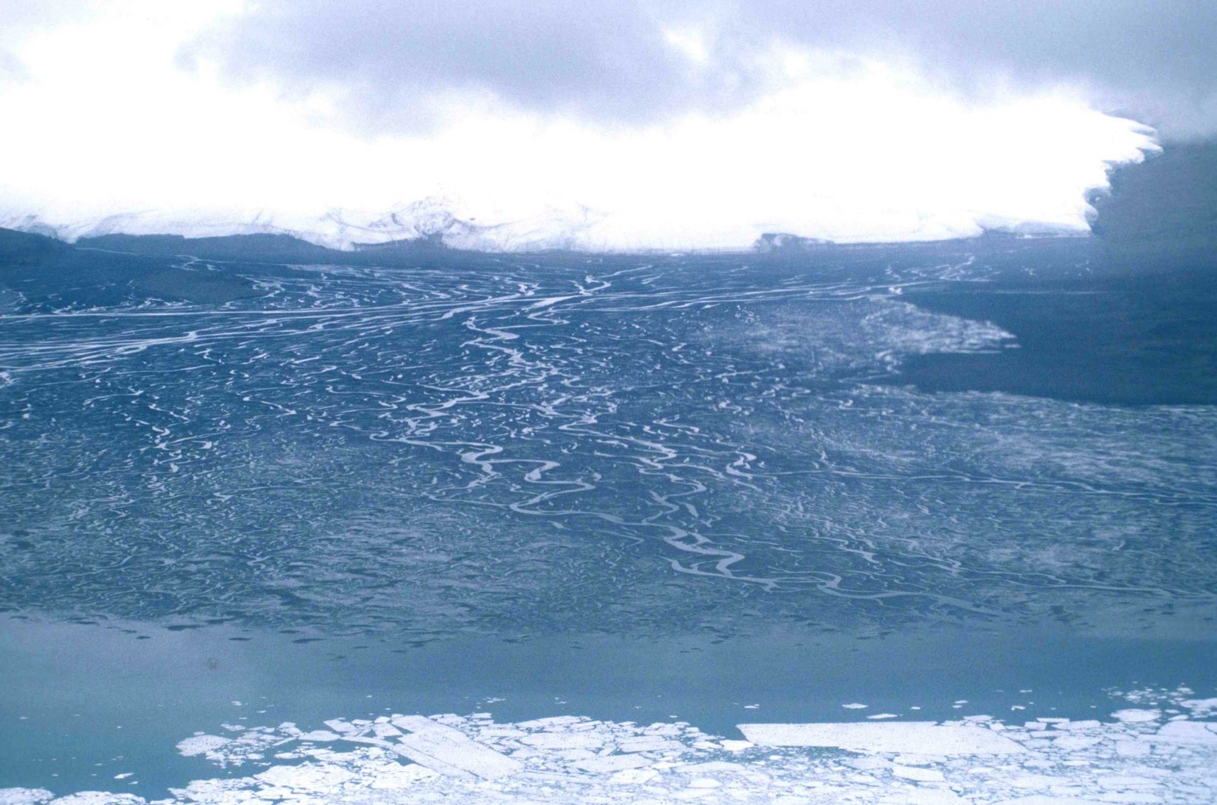 Delta de la rivière Henrietta sous le glacier Henrietta Nesmith sur la rive nord-ouest du lac Hazen