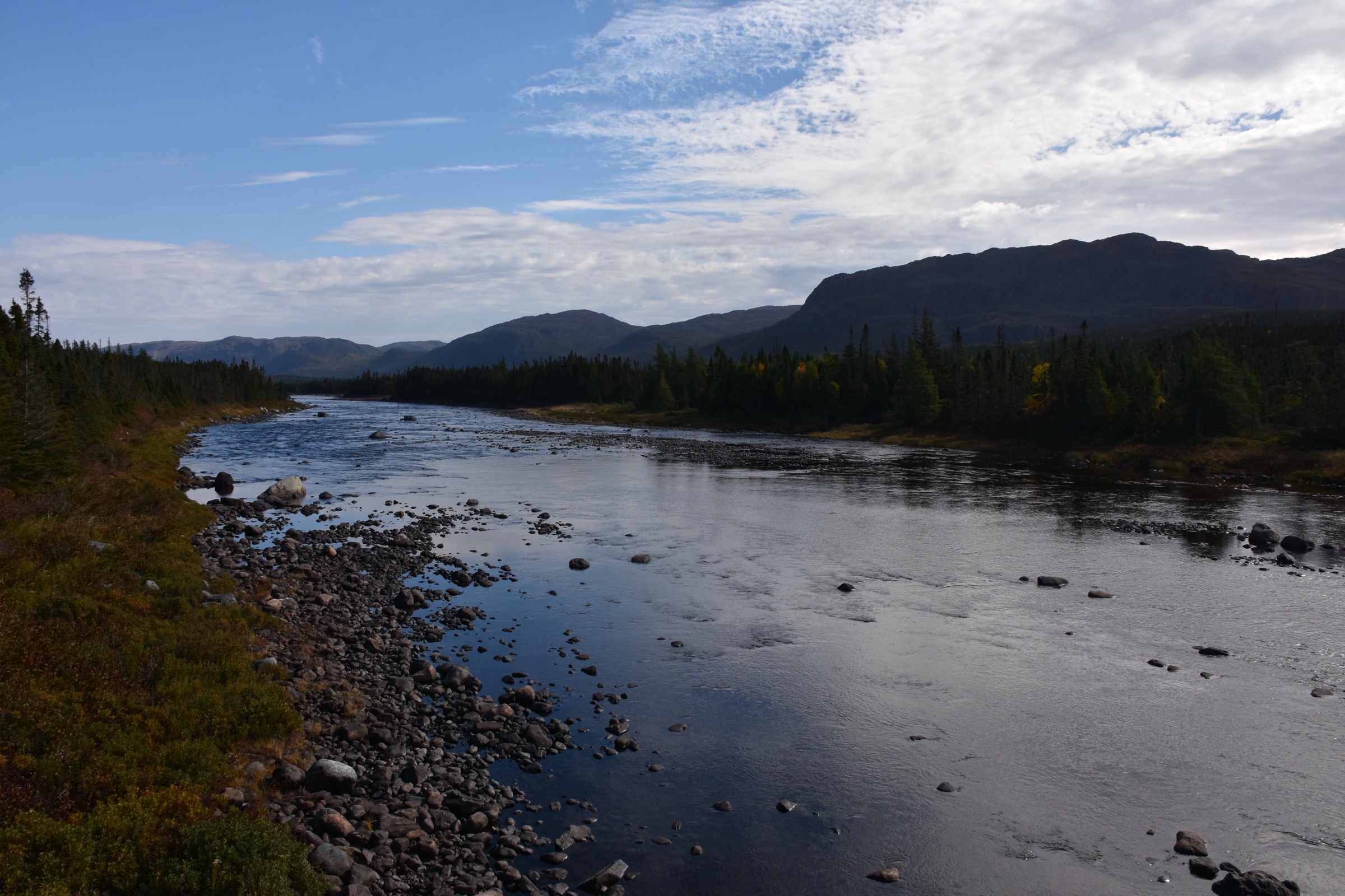 Lloyds River at the Route 480 crossing, looking downstream toward King George IV Lake