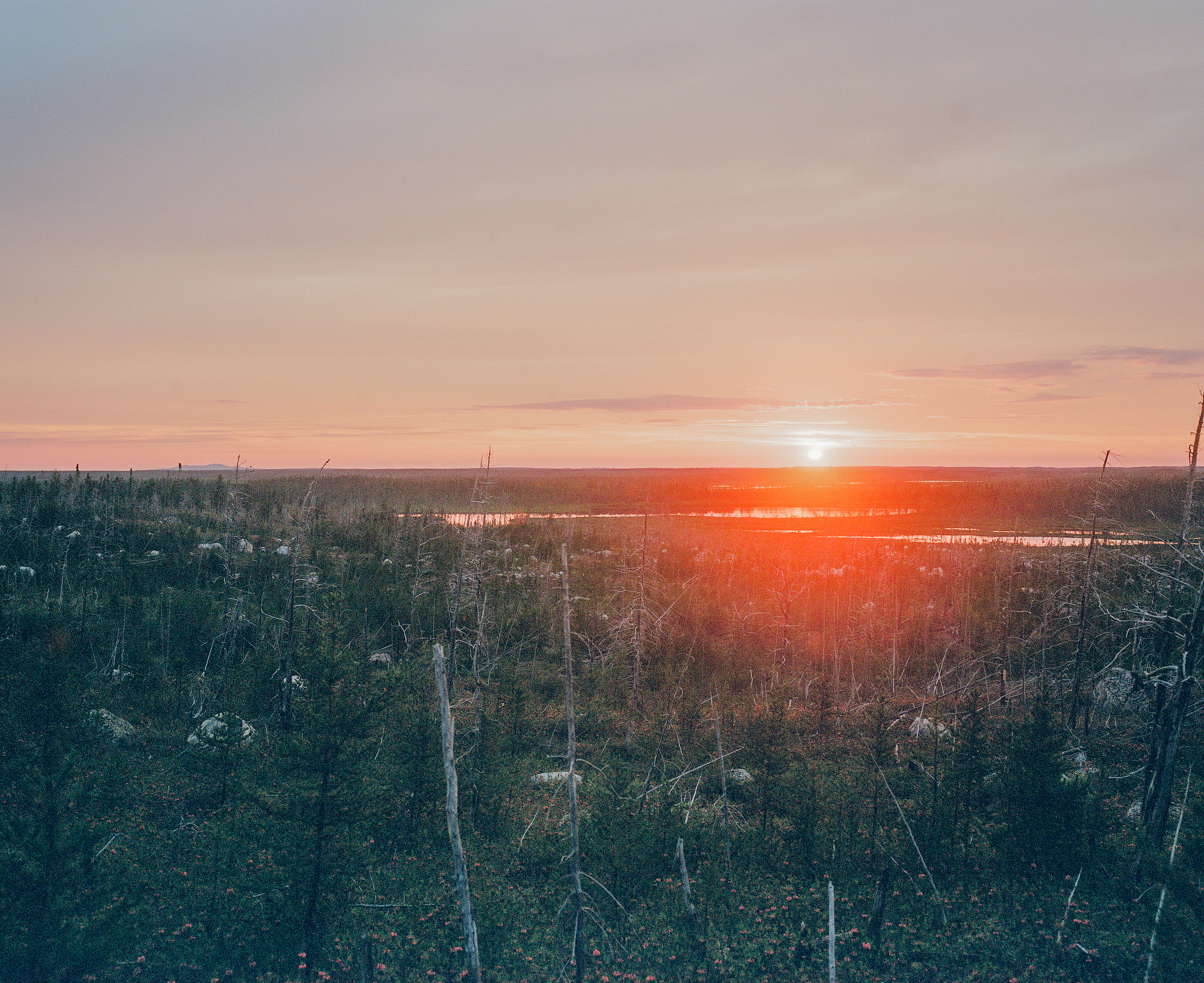 View from a hillside on the Otish plateau, Québec