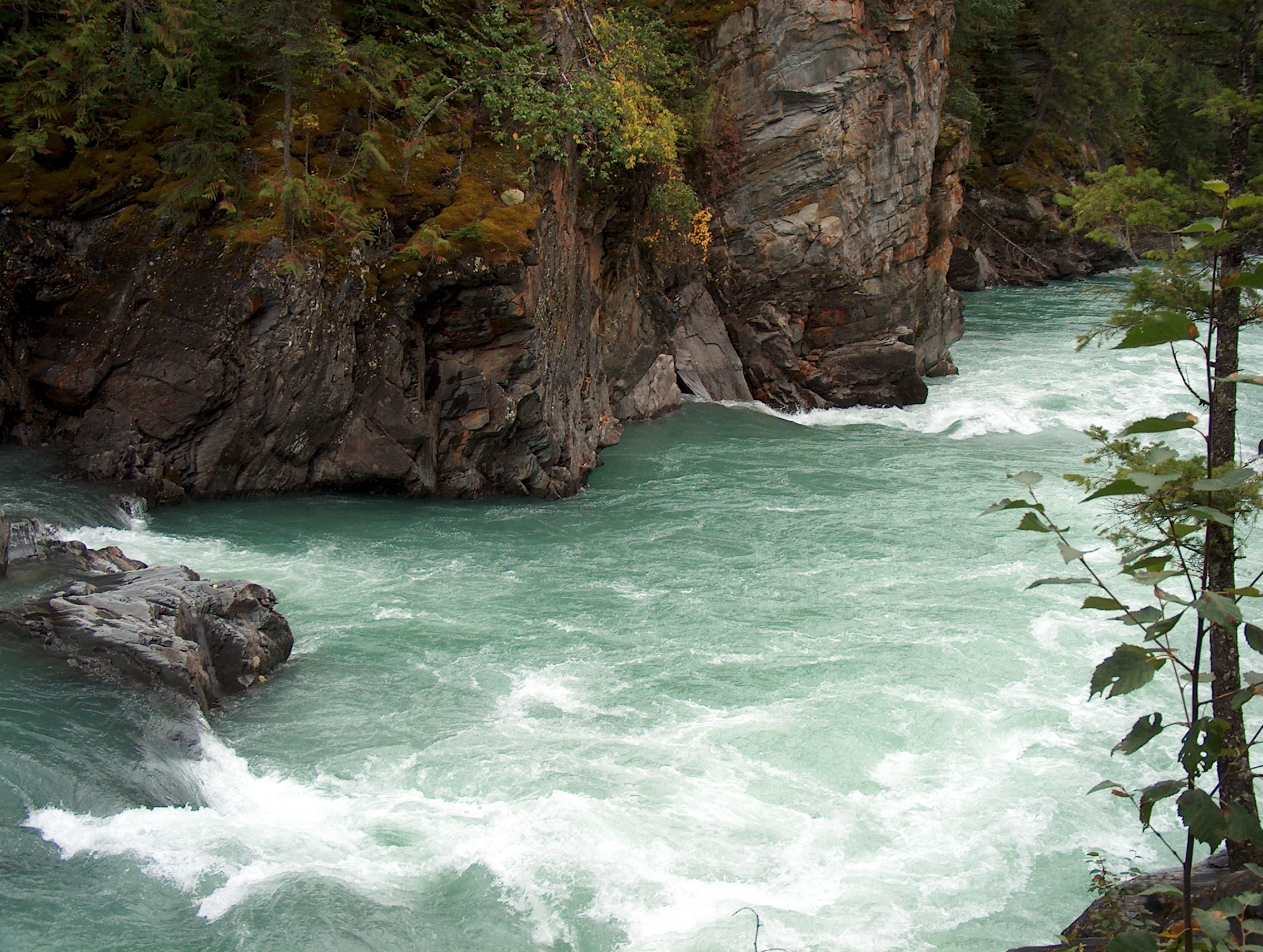 The Fraser River squeezes through a basalt notch at Overlander Falls, Mount Robson Provincial Park