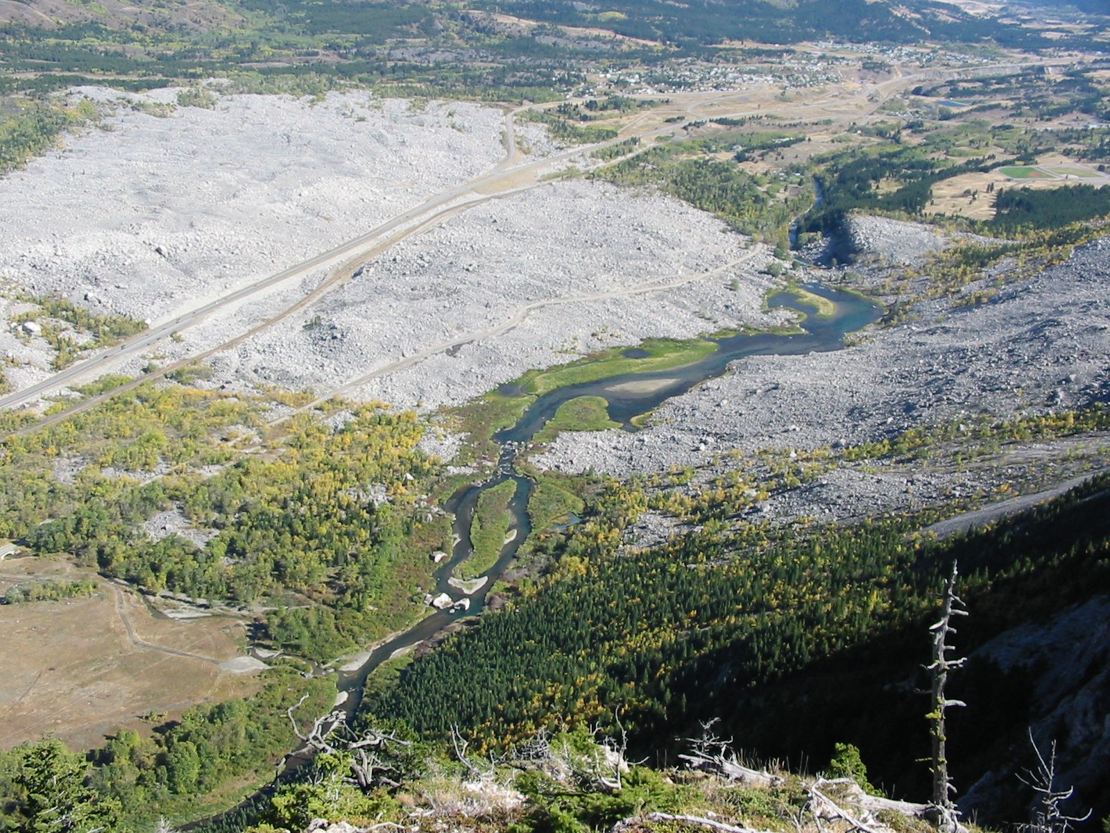 Frank Slide from the NW flank of Turtle Mountain