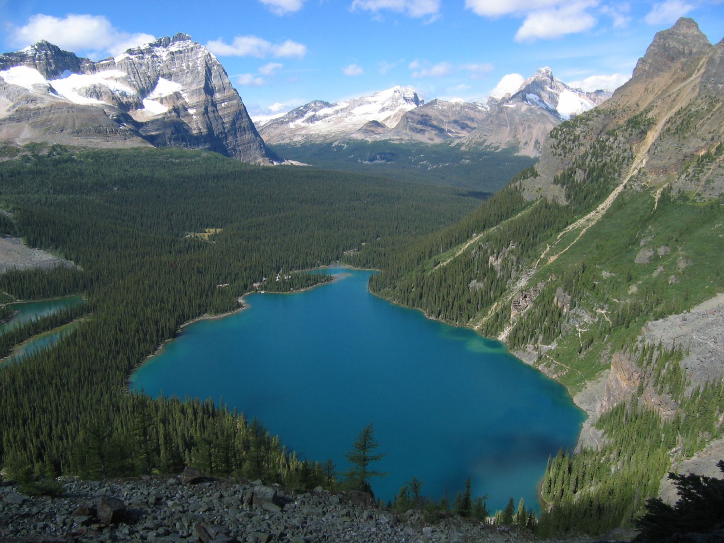 Le lac O'Hara depuis la Yukness Ledge Alpine Route
