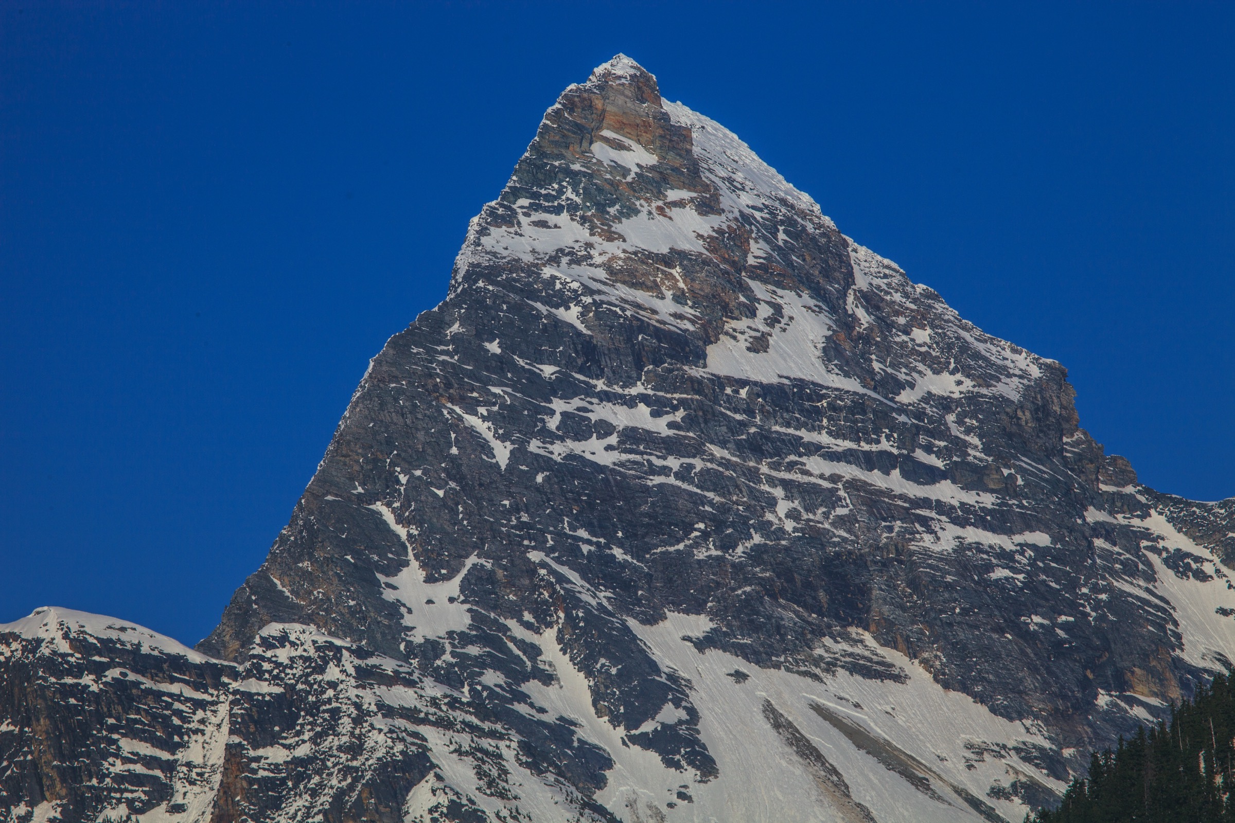 Canada — Columbia Mountains: Selkirks and Rogers Pass Essential Day-Hikes
