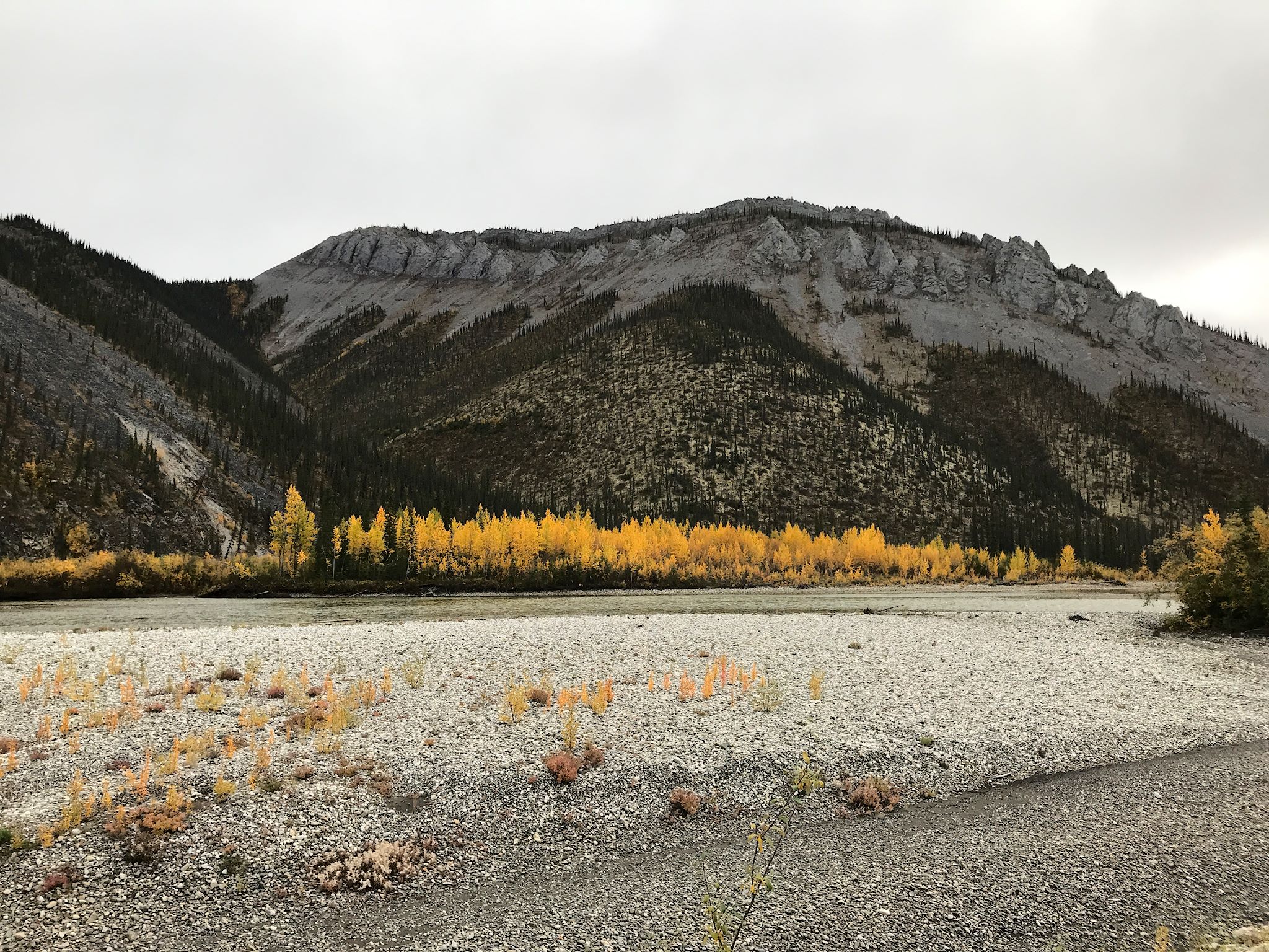 Paysage de crête calcaire dans le centre des monts Ogilvie