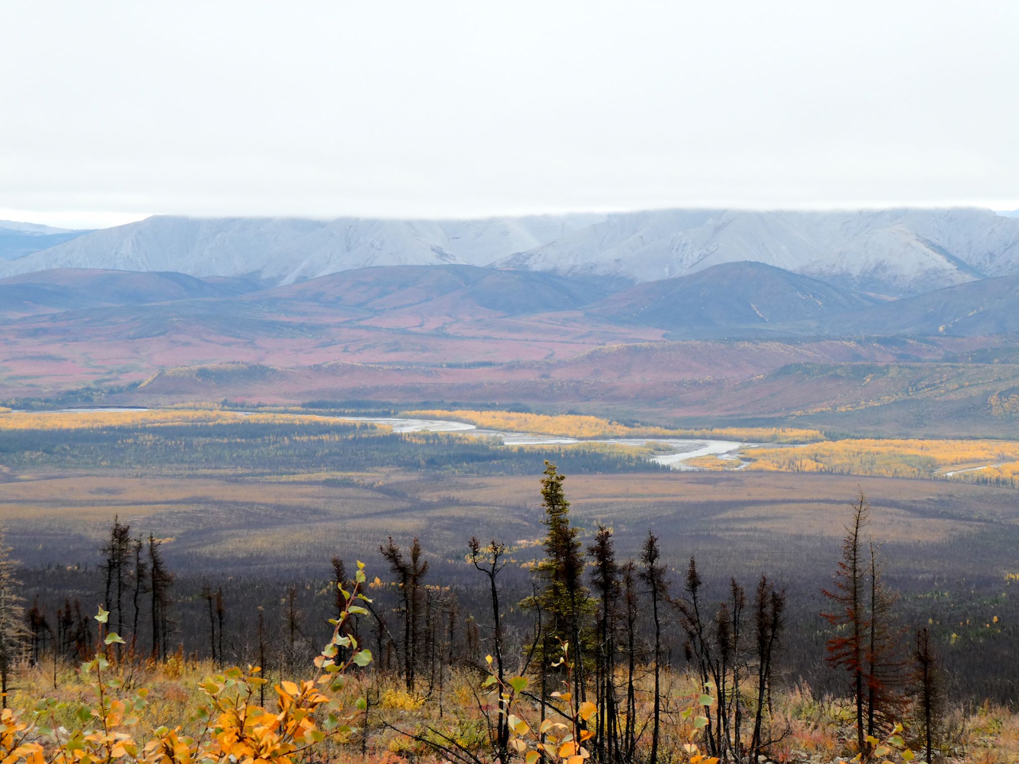 La vallée de la rivière Ogilvie depuis l'escarpement du plateau Eagle
