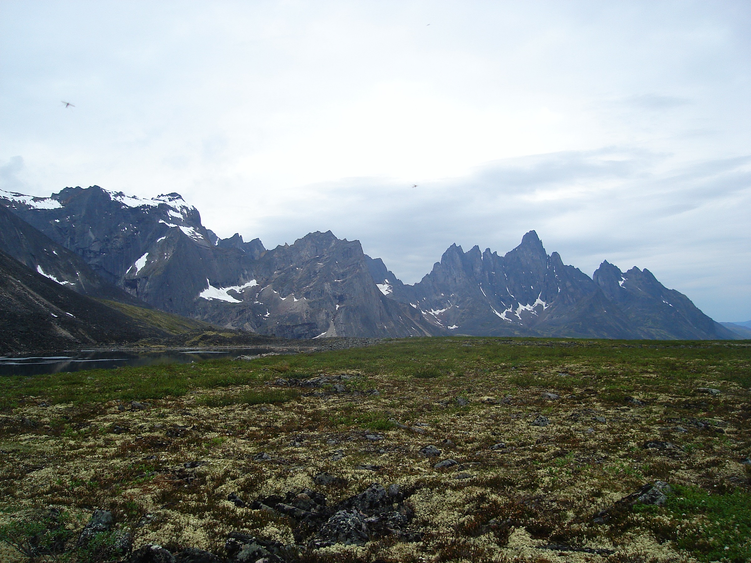 Tombstone Mountain seen from the Goldensides ridge area