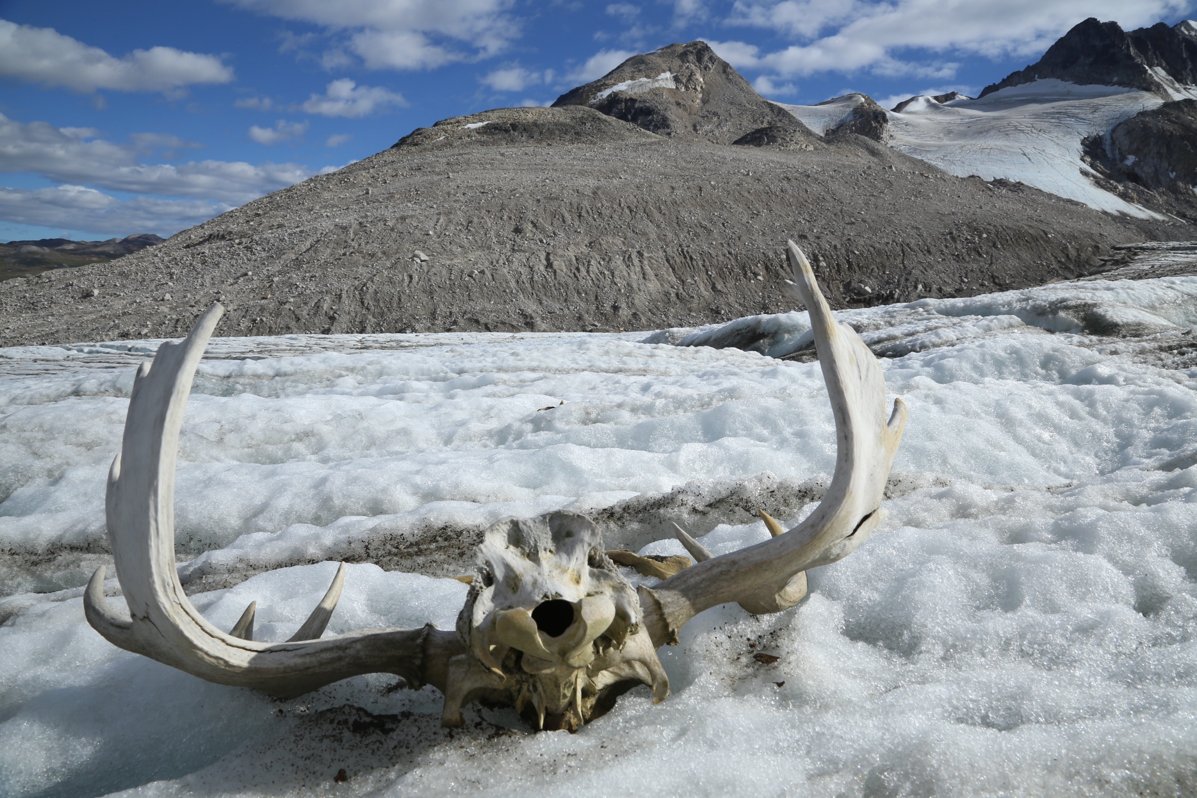 Canada — Alsek et Tatshenshini : randonnées à la journée