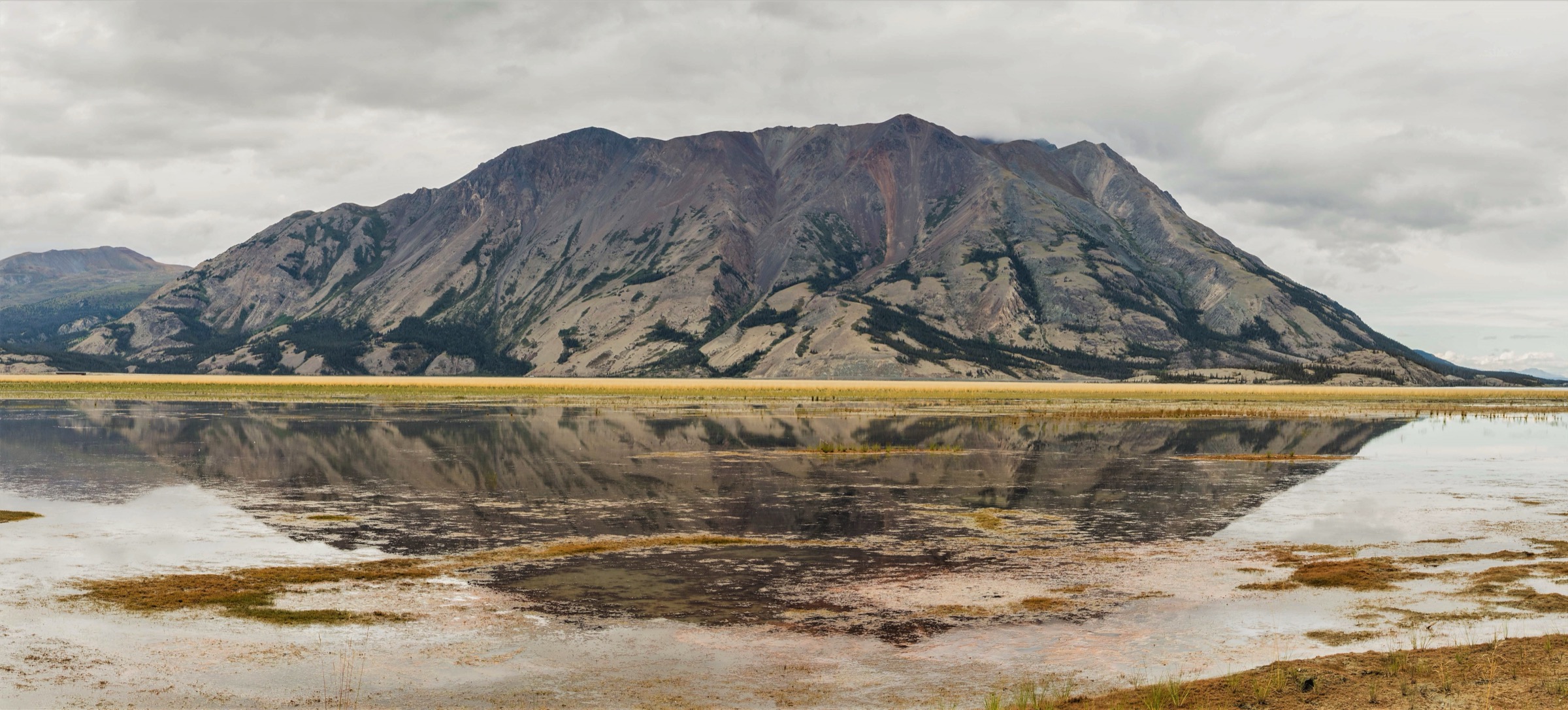 Thechàl Dhâl (Sheep Mountain) s'élevant au-dessus du lac Kluane, parc national Kluane