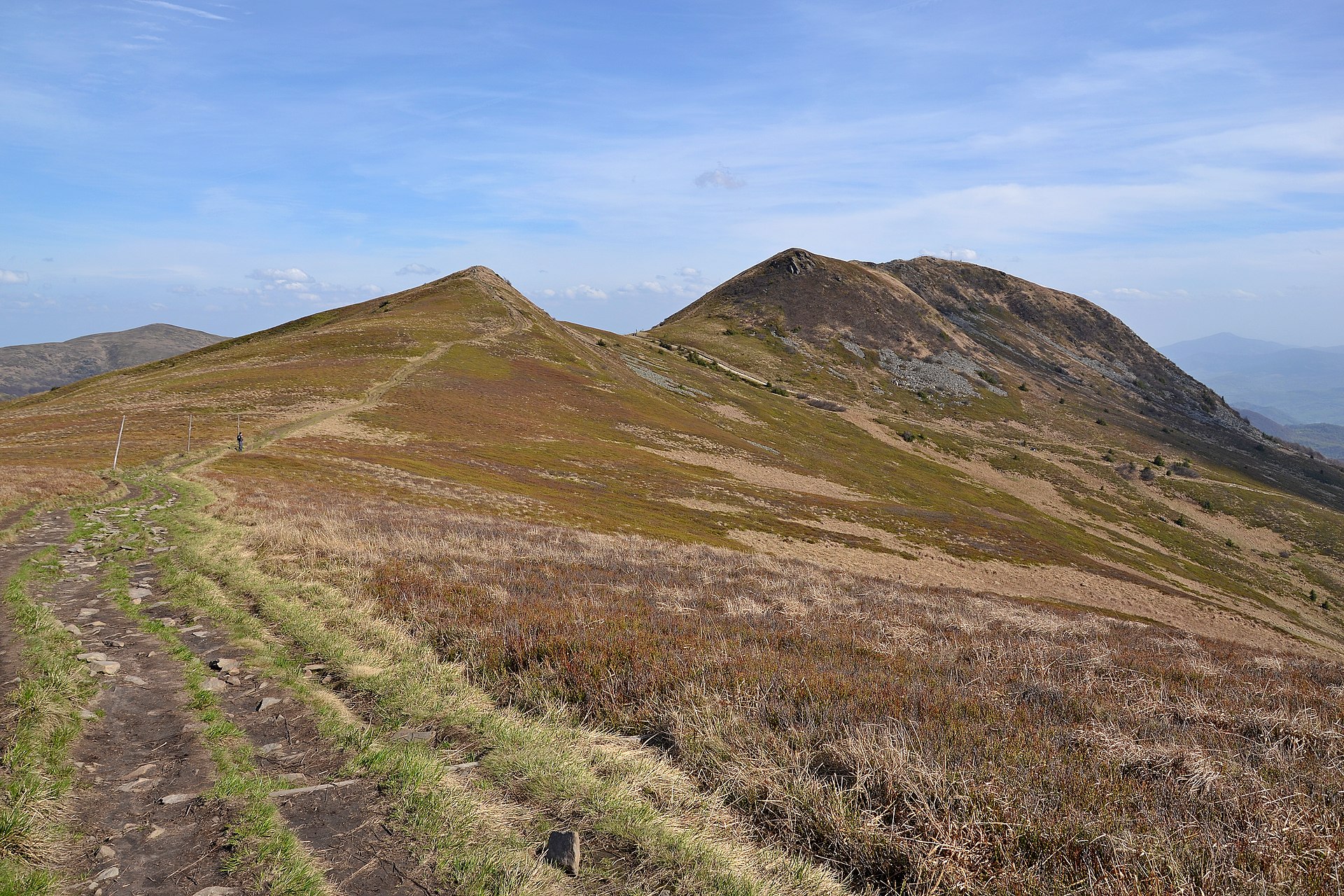Sommet de Tarnica dans les Bieszczady polonaises