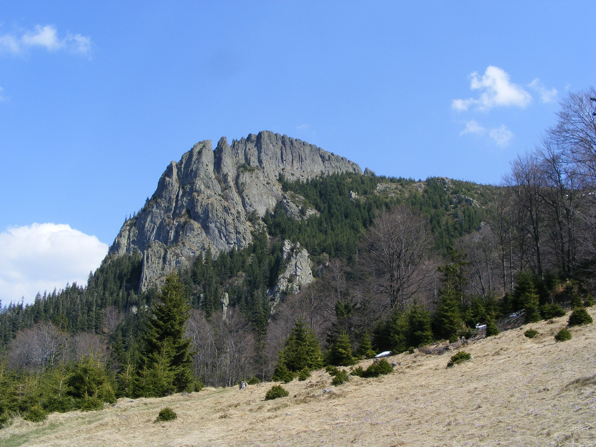 Creasta Cocoșului, Munții Gutâi