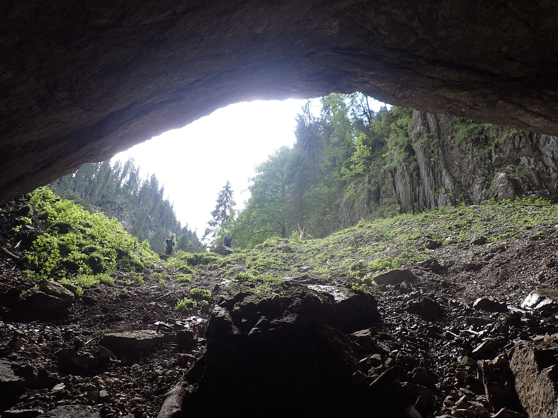 Entrée de la grotte Cetățile Ponorului