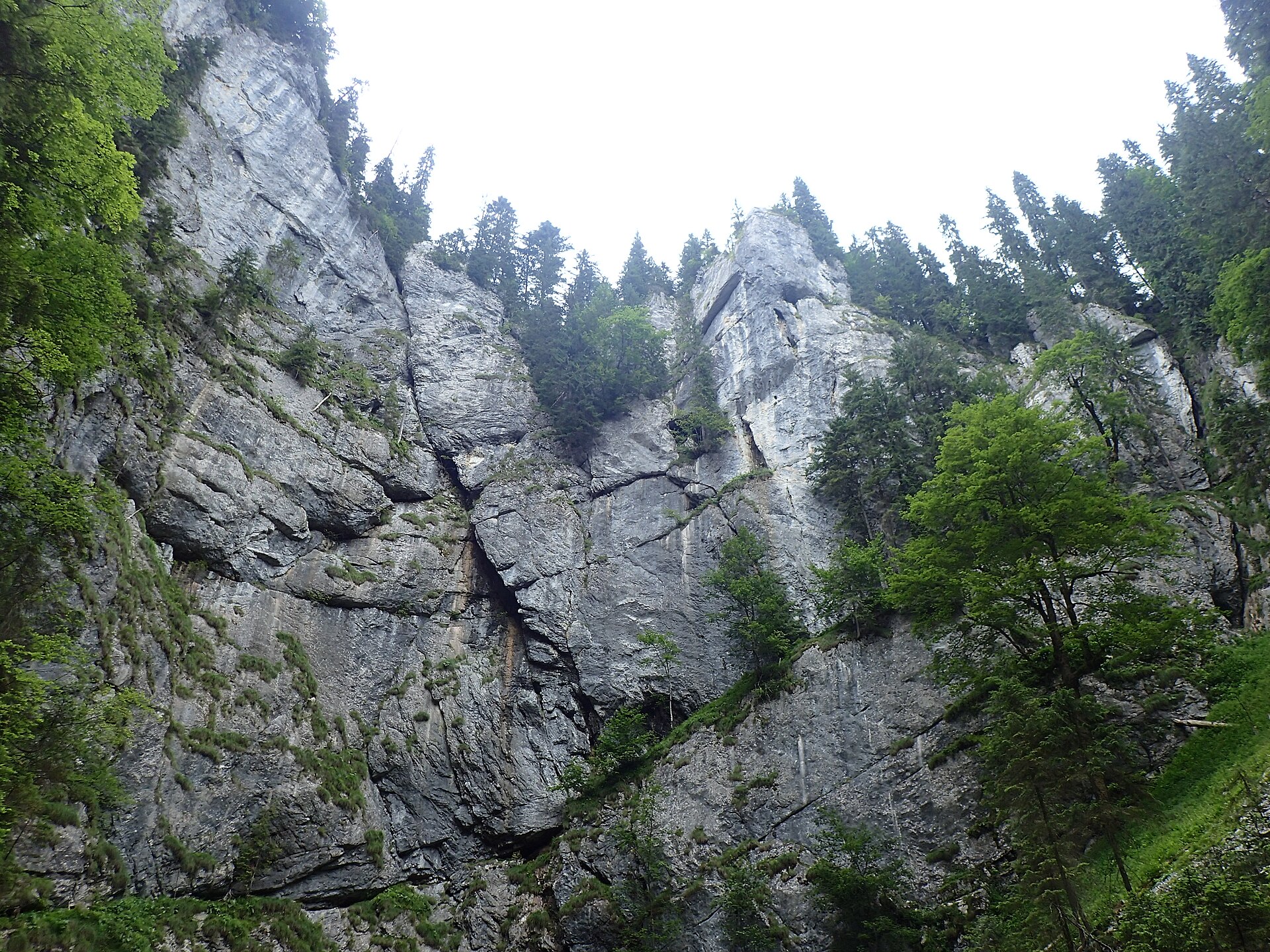Entrée de la grotte Cetățile Ponorului