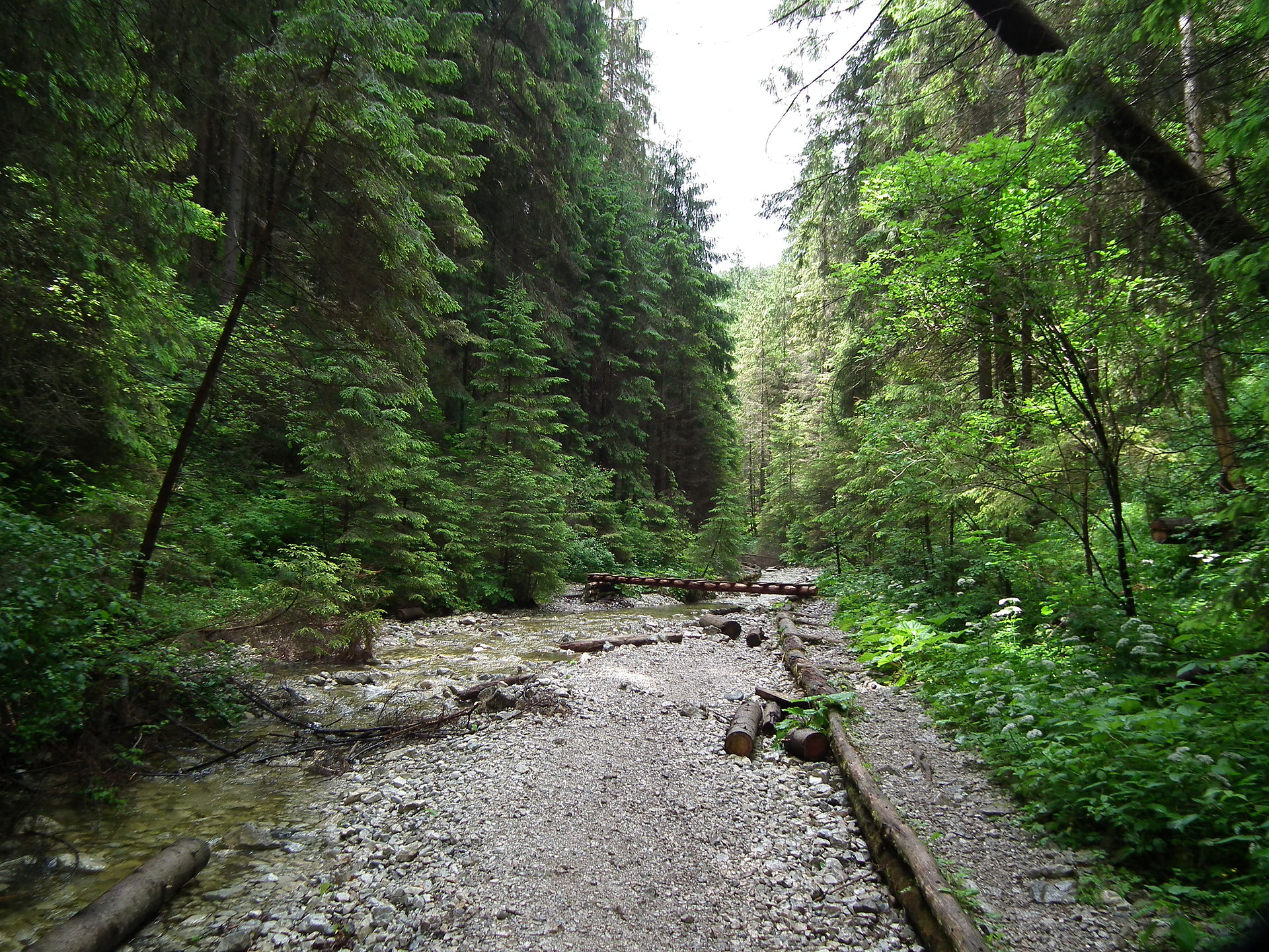 Suchá Belá gorge