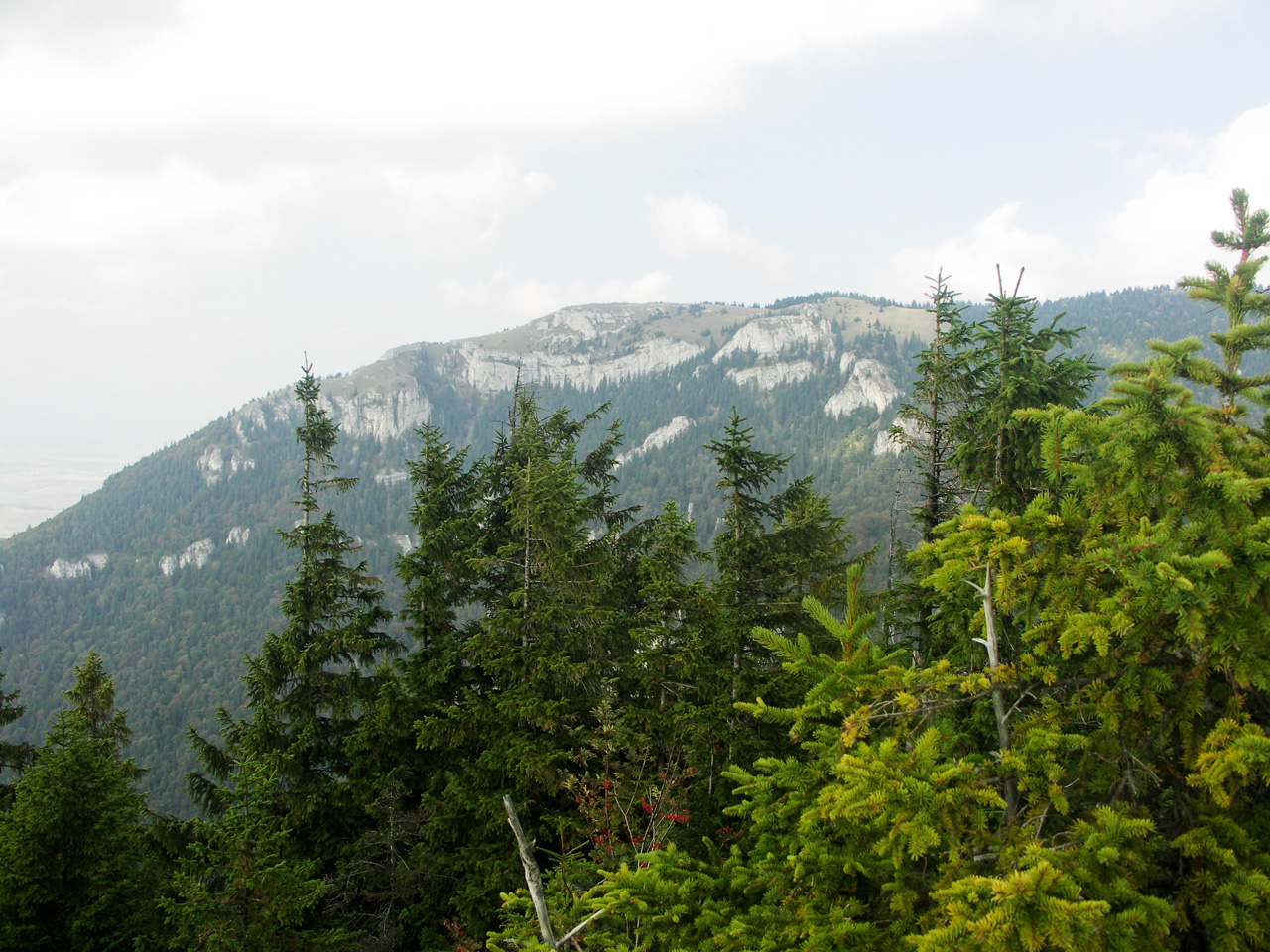 Tlstá from Ostrá
