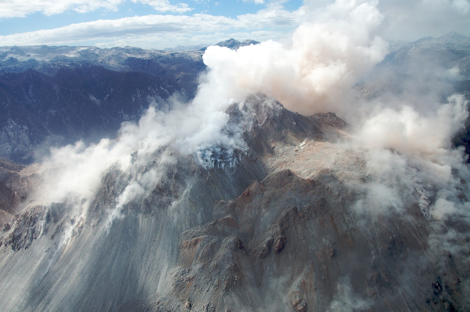 Volcán Chaitén dome and devastated forest after the 2008 eruption, Pumalín
