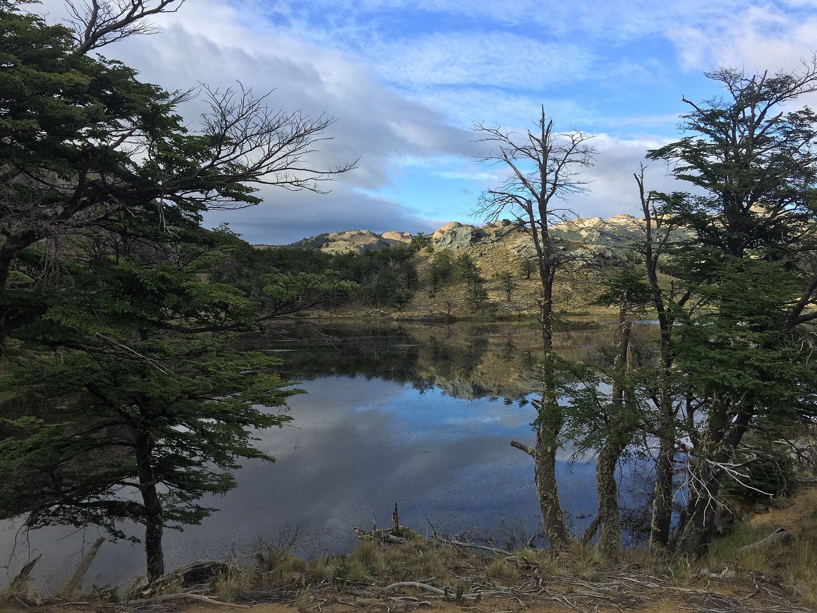 Sendero Lagunas Altas, Valle Chacabuco, Parque Nacional Patagonia
