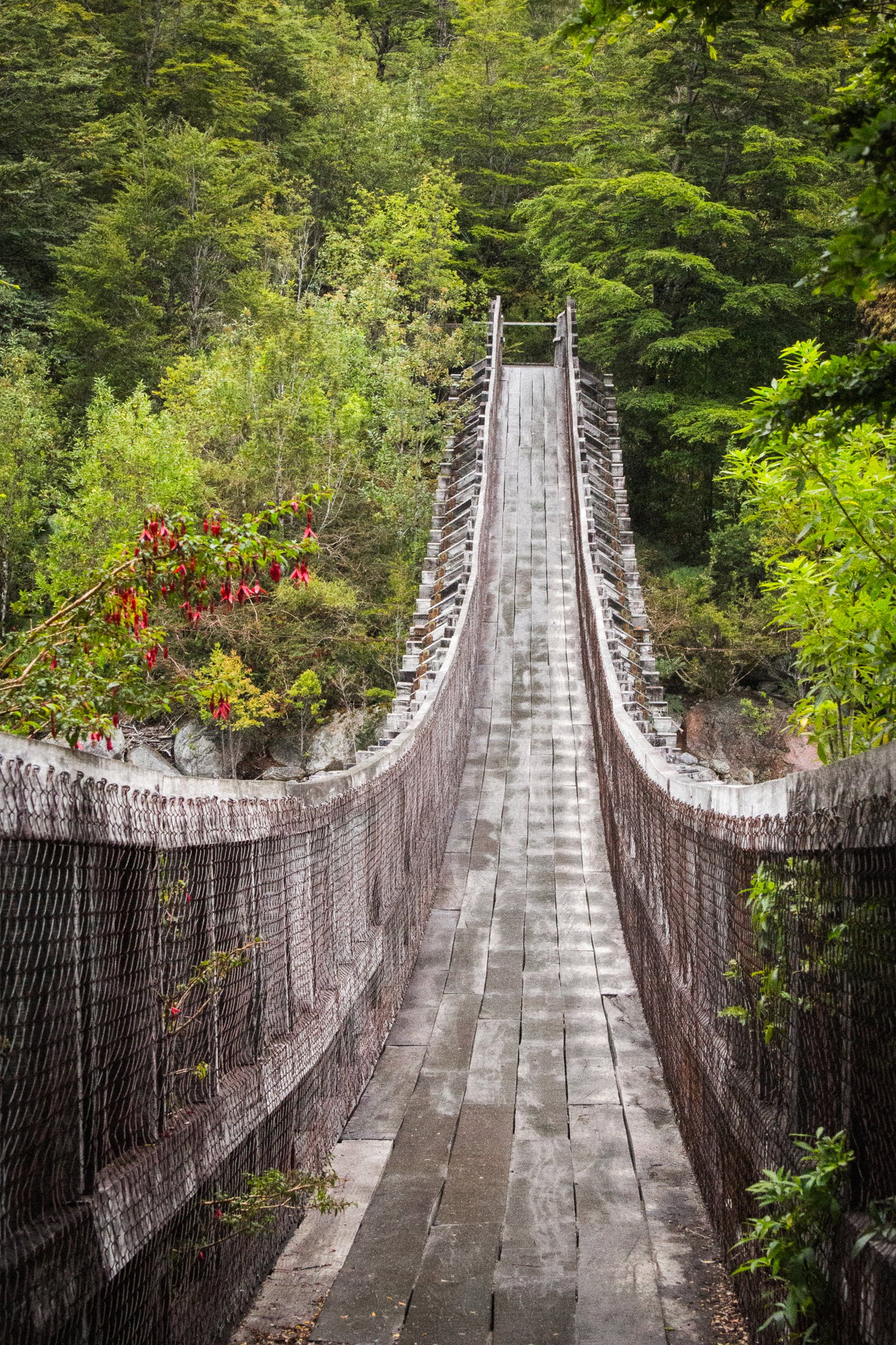 Pont du Río Ventisquero sur le sentier du Ventisquero Colgante, Parque Nacional Queulat