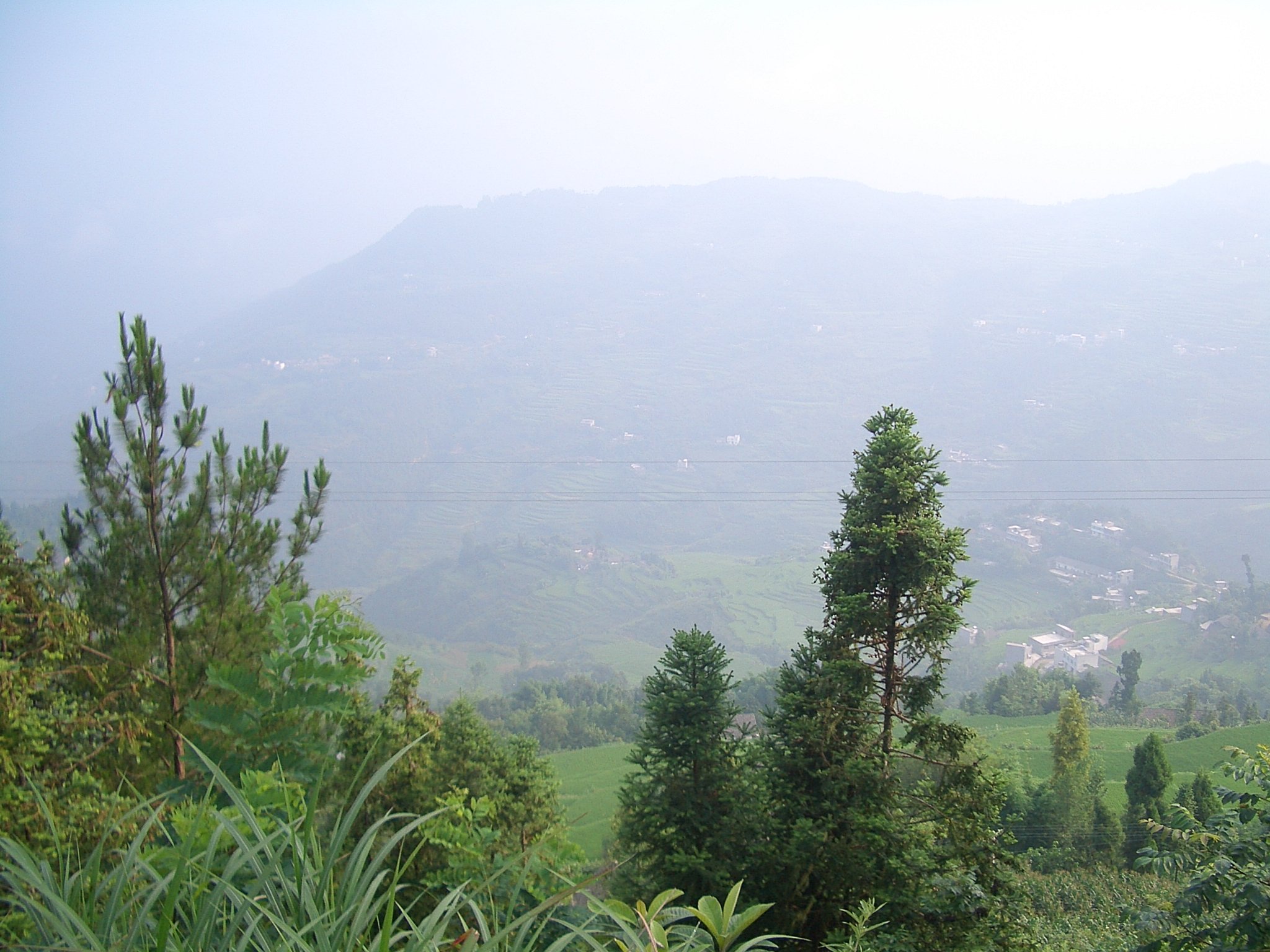 Paysage rural de la région des Daba : Xiqiuwan xiang, champs du village de Baishawan