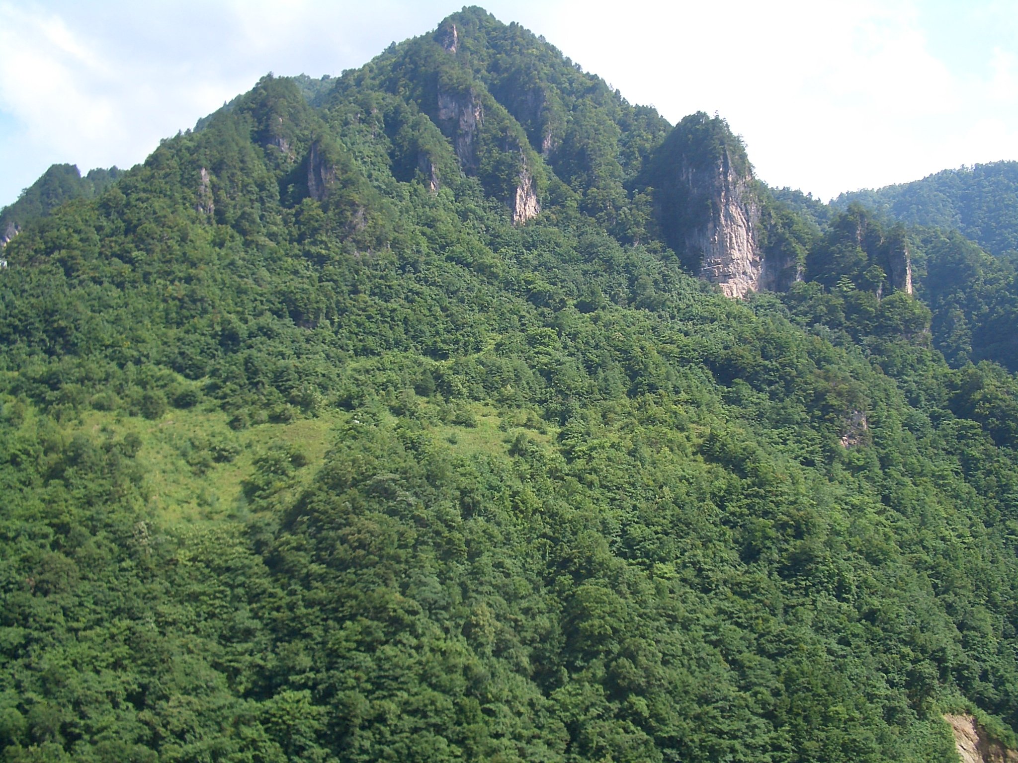 Chine — Monts Daba : Région de transition Qinba / Shaanxi-Hubei-Chongqing