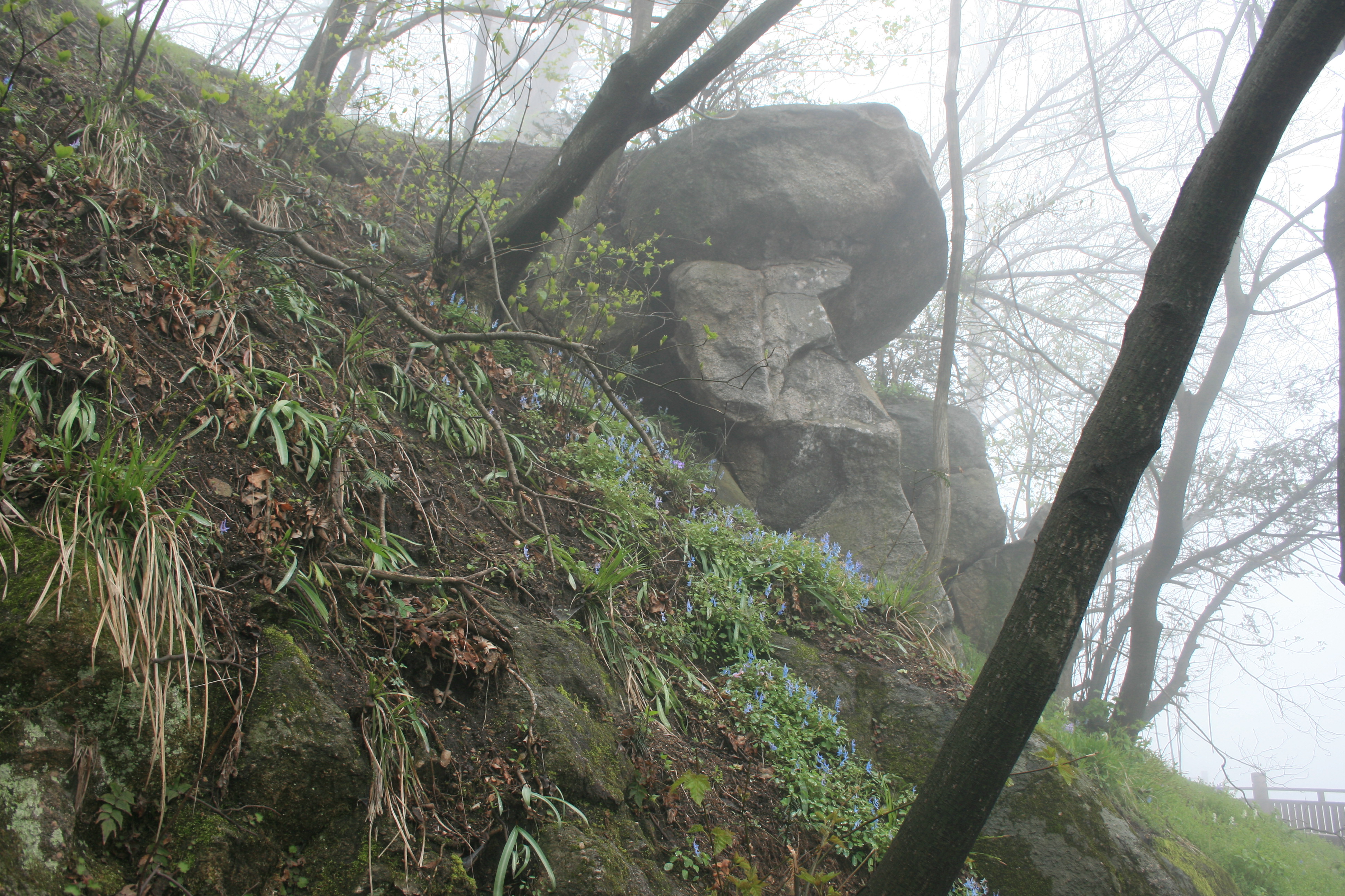 Chine — Monts Dabie du Henan : randonnées d'une journée