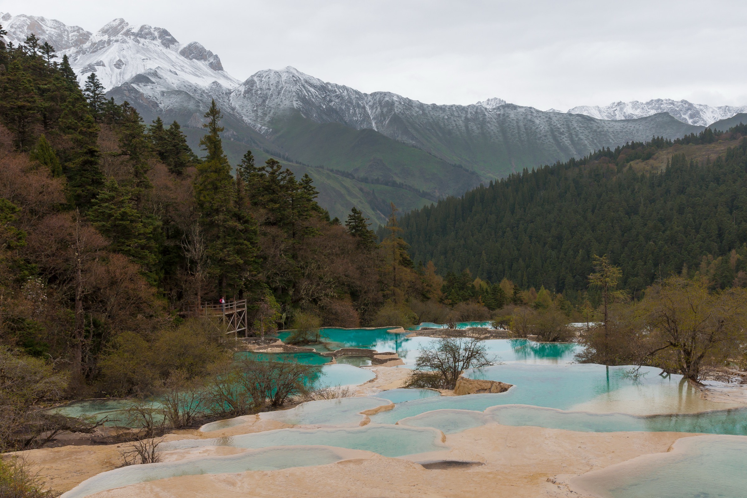Multicoloured travertine ponds, Huanglong, Sichuan