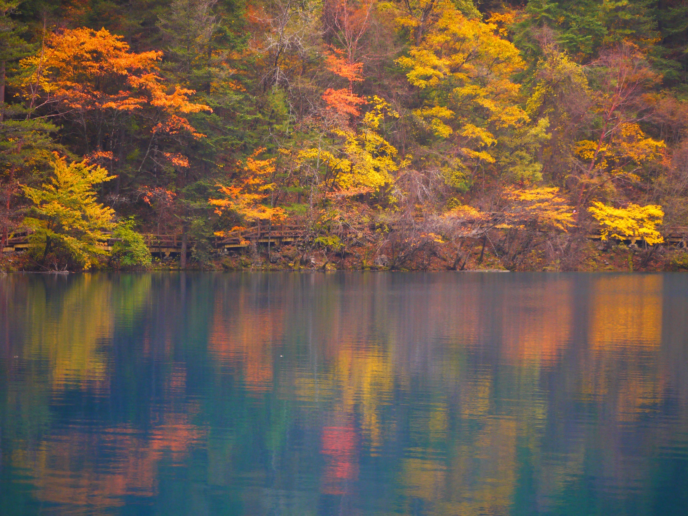 Tiger Lake, Shuzheng Valley, Jiuzhaigou