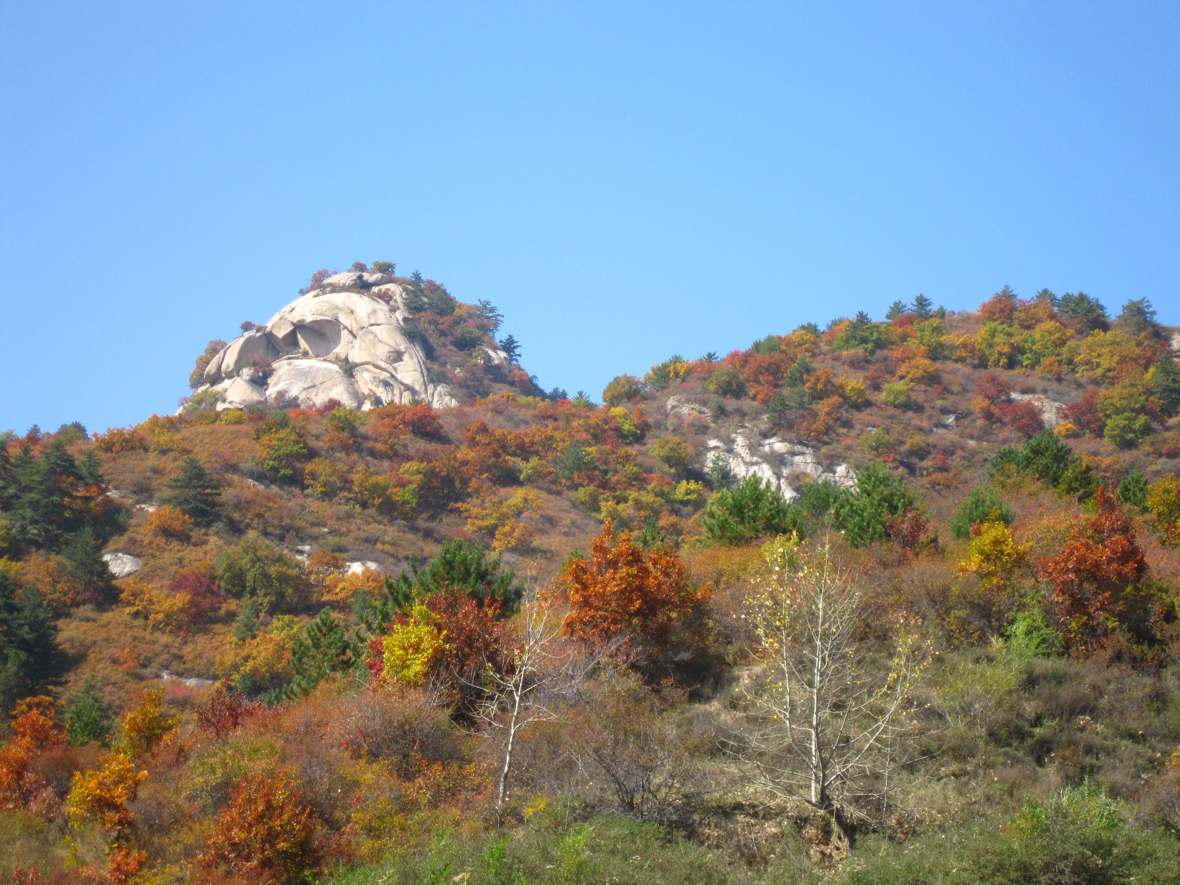 Rocky peak above autumn-coloured slopes in Nanyanggou, Fangshan County, central Luliang
