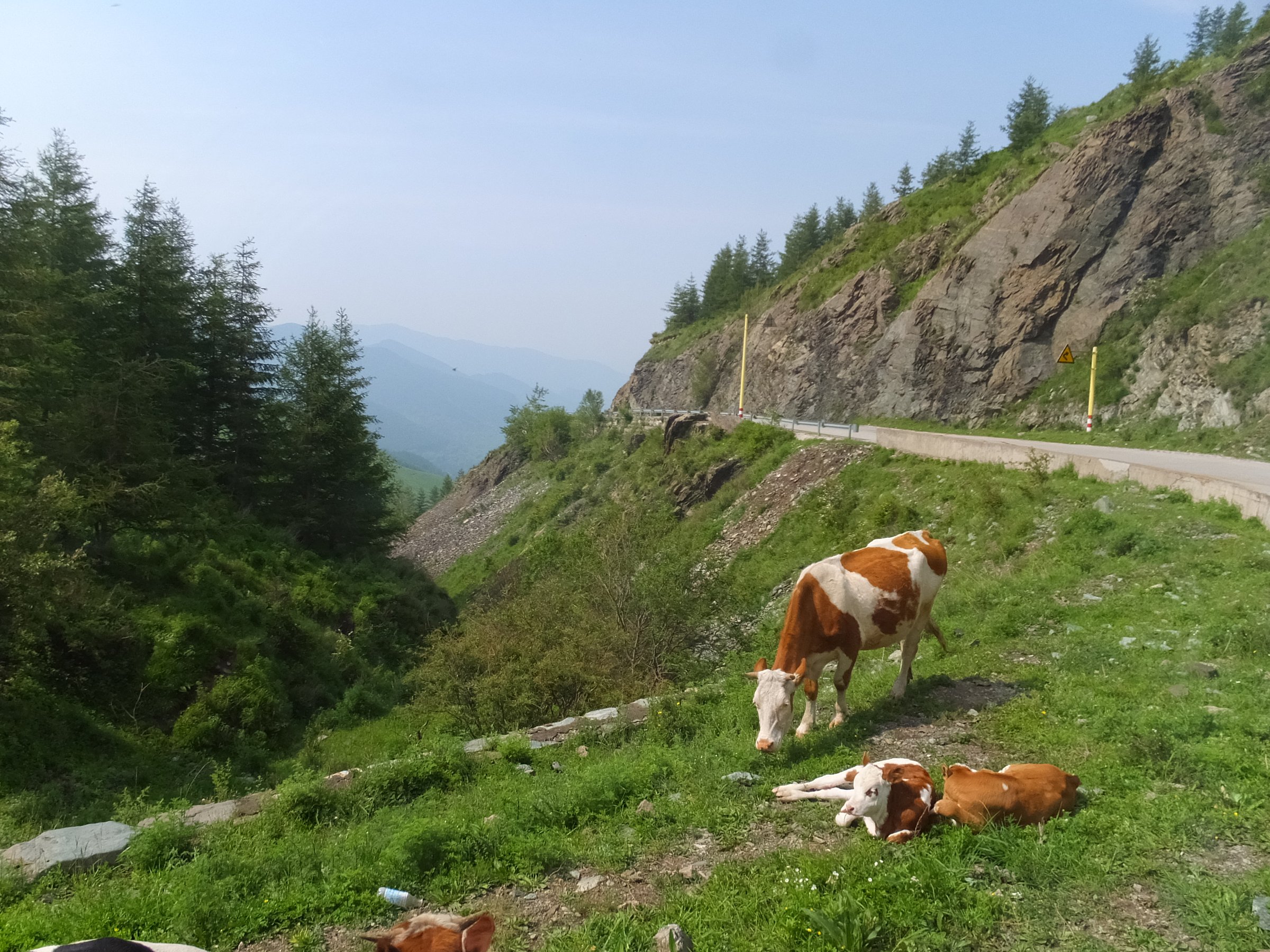 Hautes terrasses du mont Wutai
