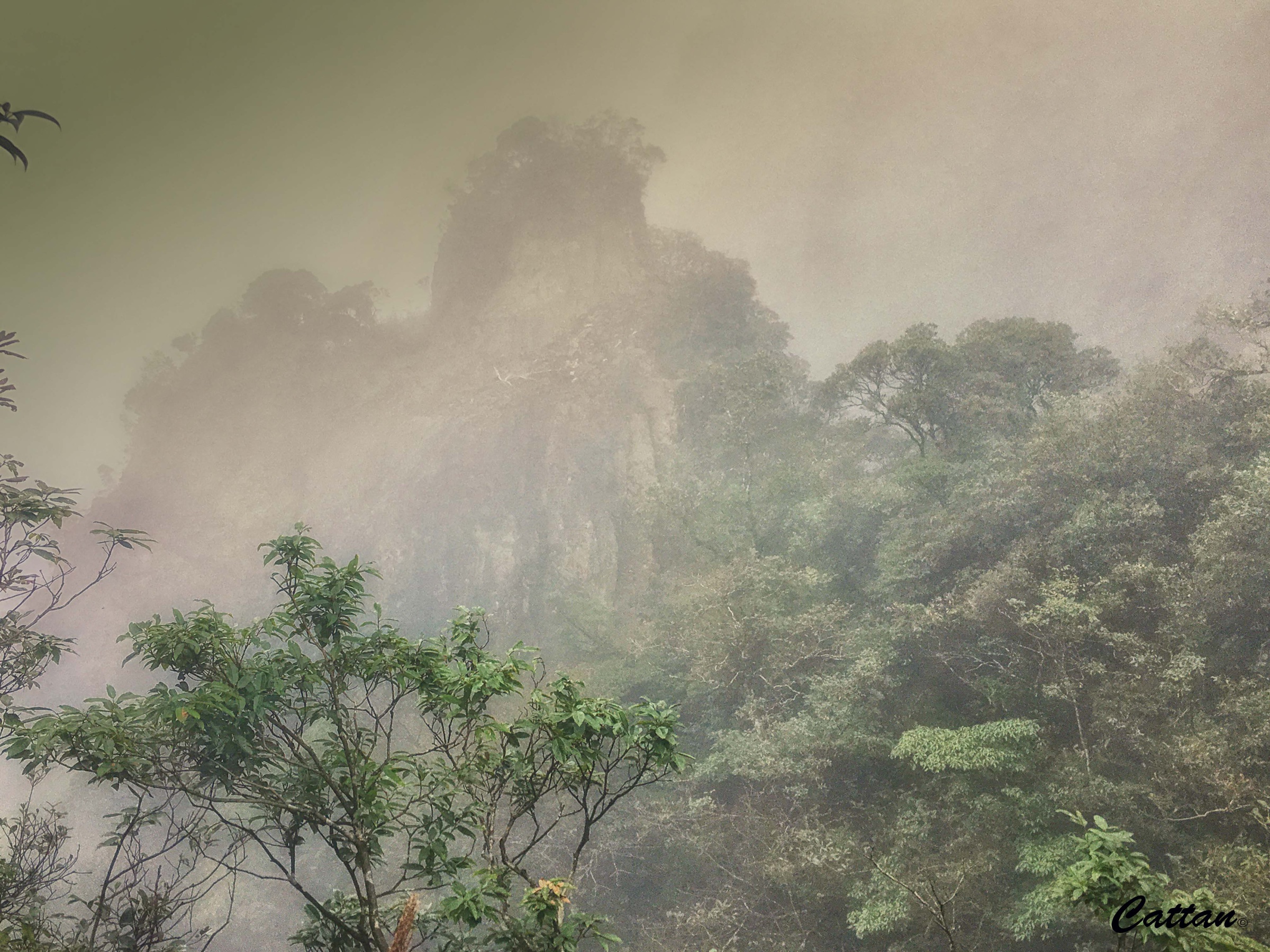 A Mangshan peak almost entirely wrapped in fog