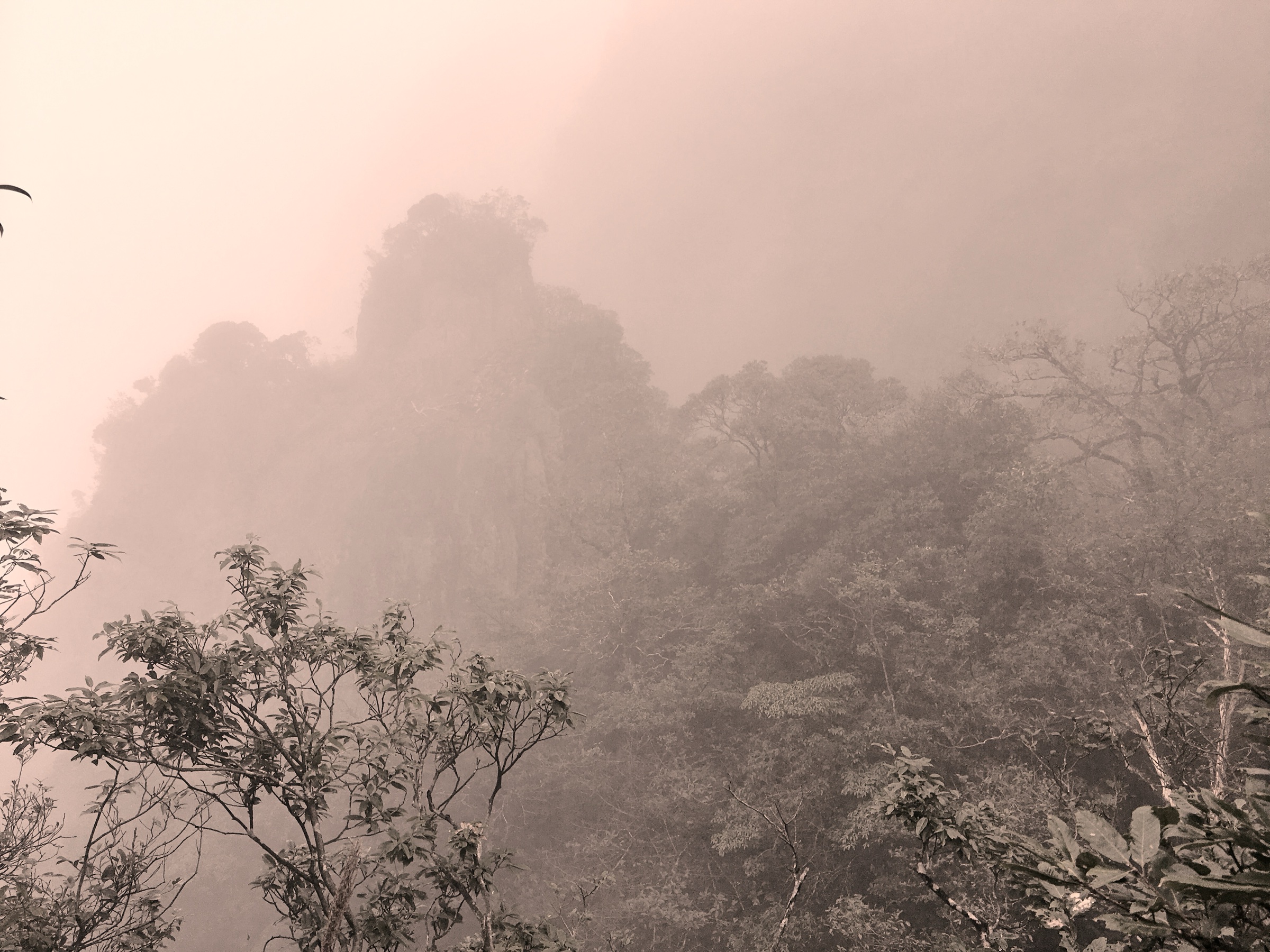 Cloud-wrapped ridges in Mangshan National Forest Park