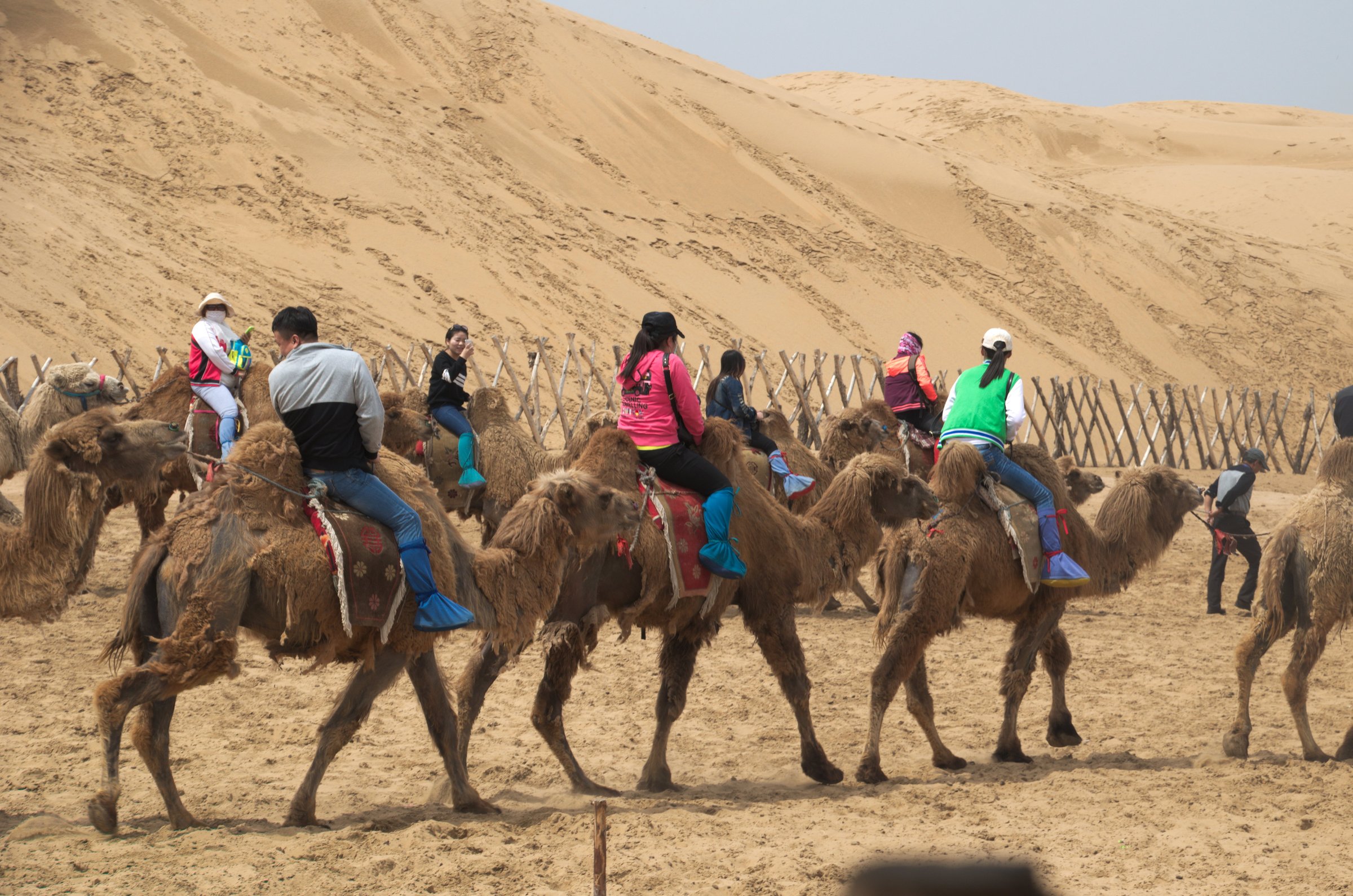 China — Ordos: Upland margins