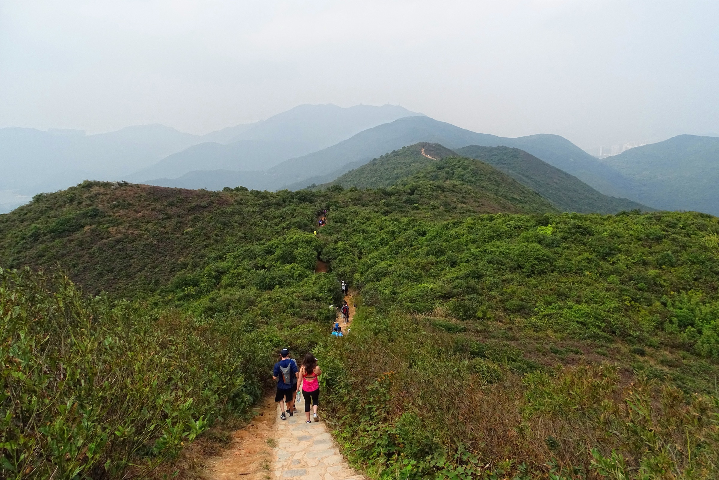 La crête du Dragon's Back dans le parc rural de Shek O vue vers le nord le long de l'épine de l'est de Hong Kong Island