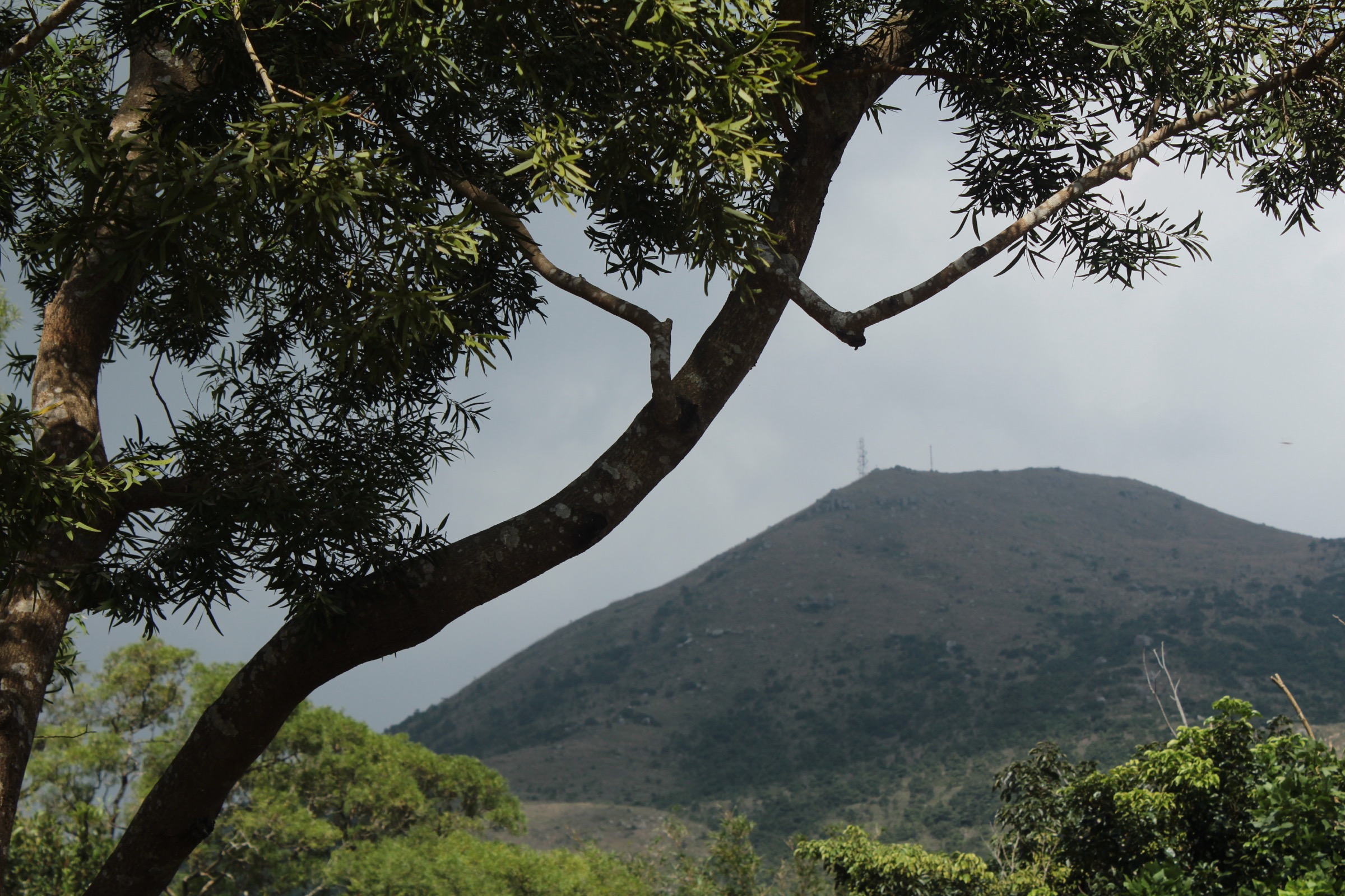 Île de Lantau, Hong Kong — randonnées essentielles à la journée