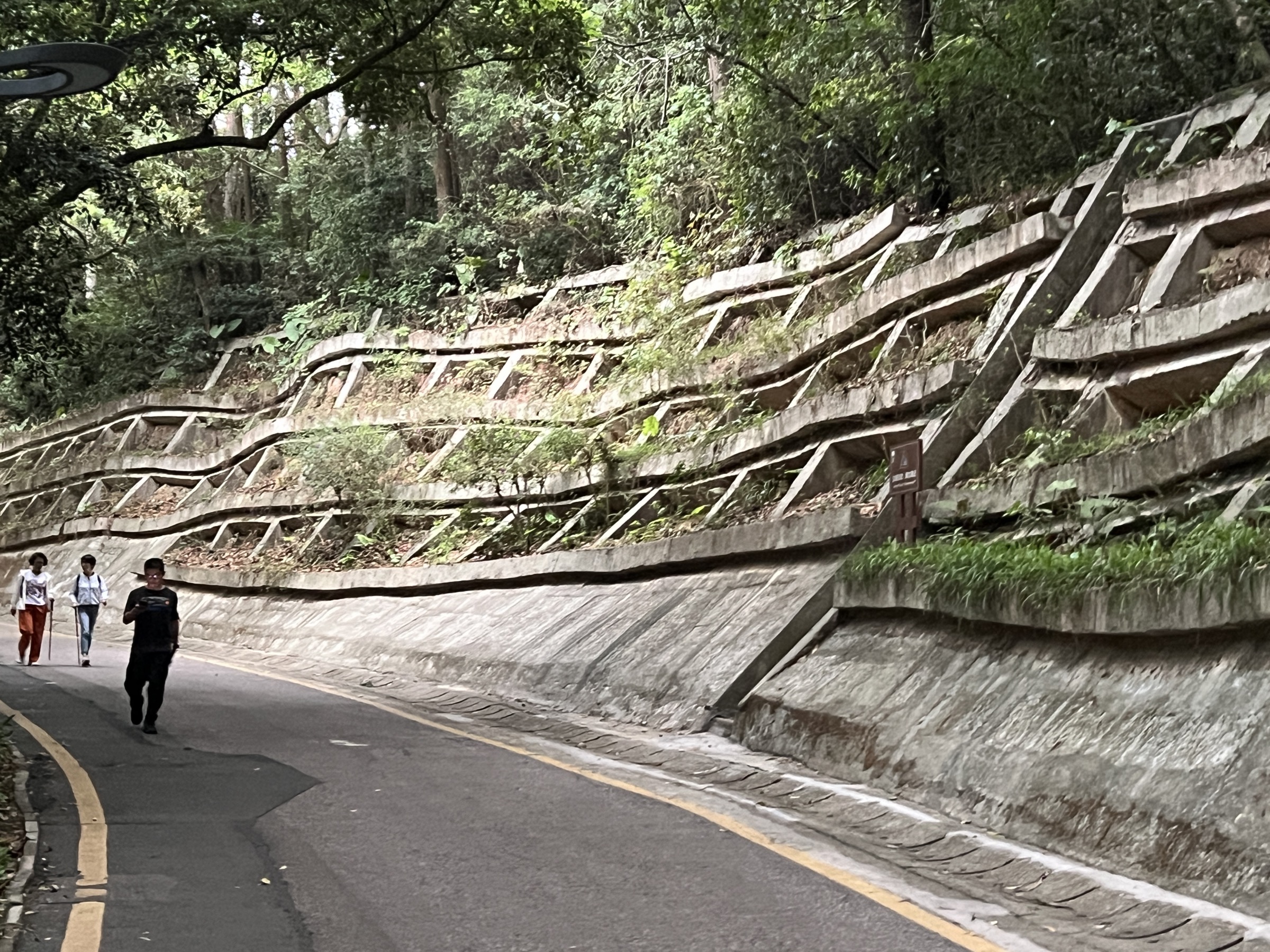 Sommet du Tanglang Shan (430,8 m) au-dessus du corridor des hautes technologies de Nanshan à Shenzhen